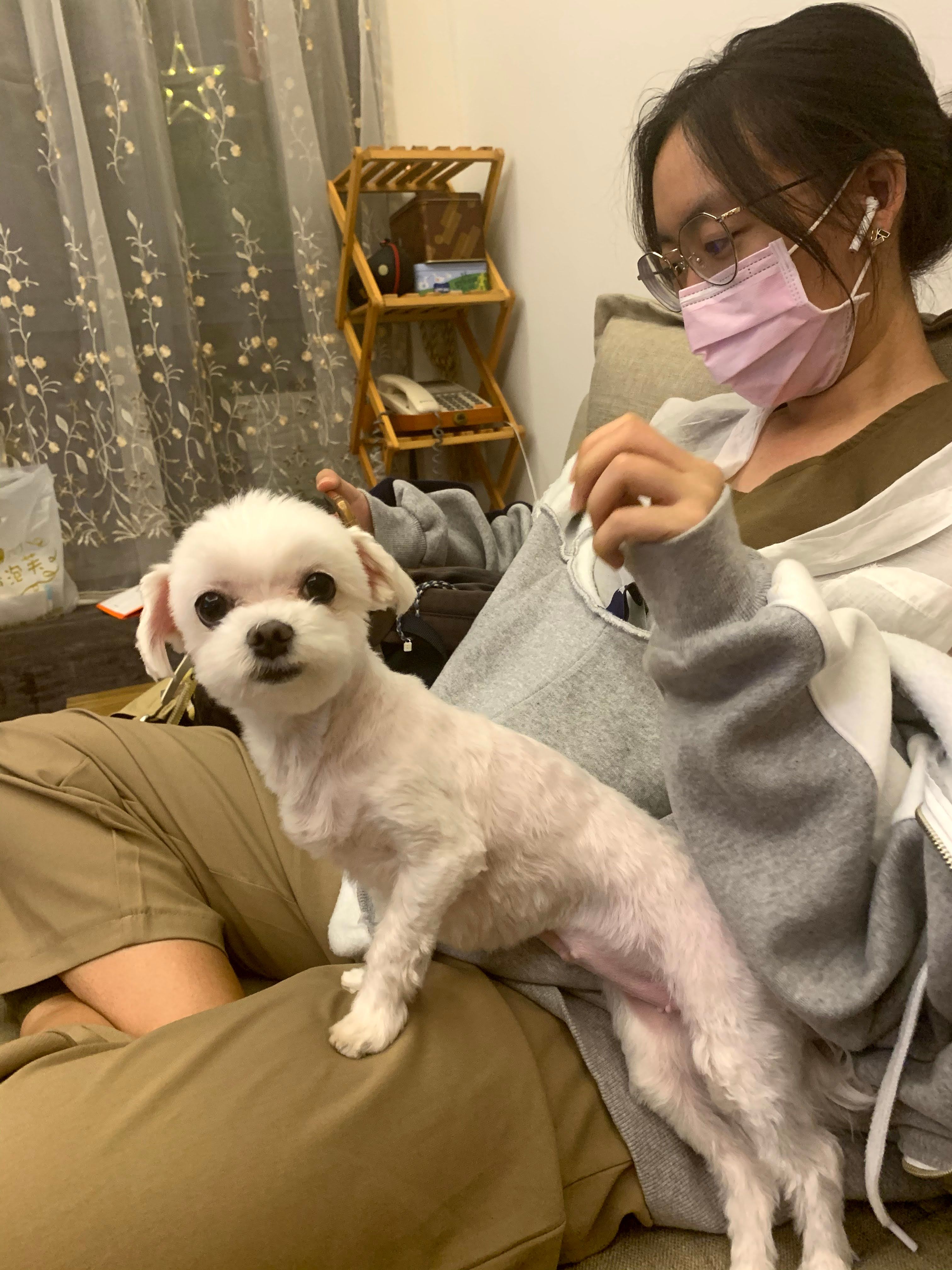 image-6