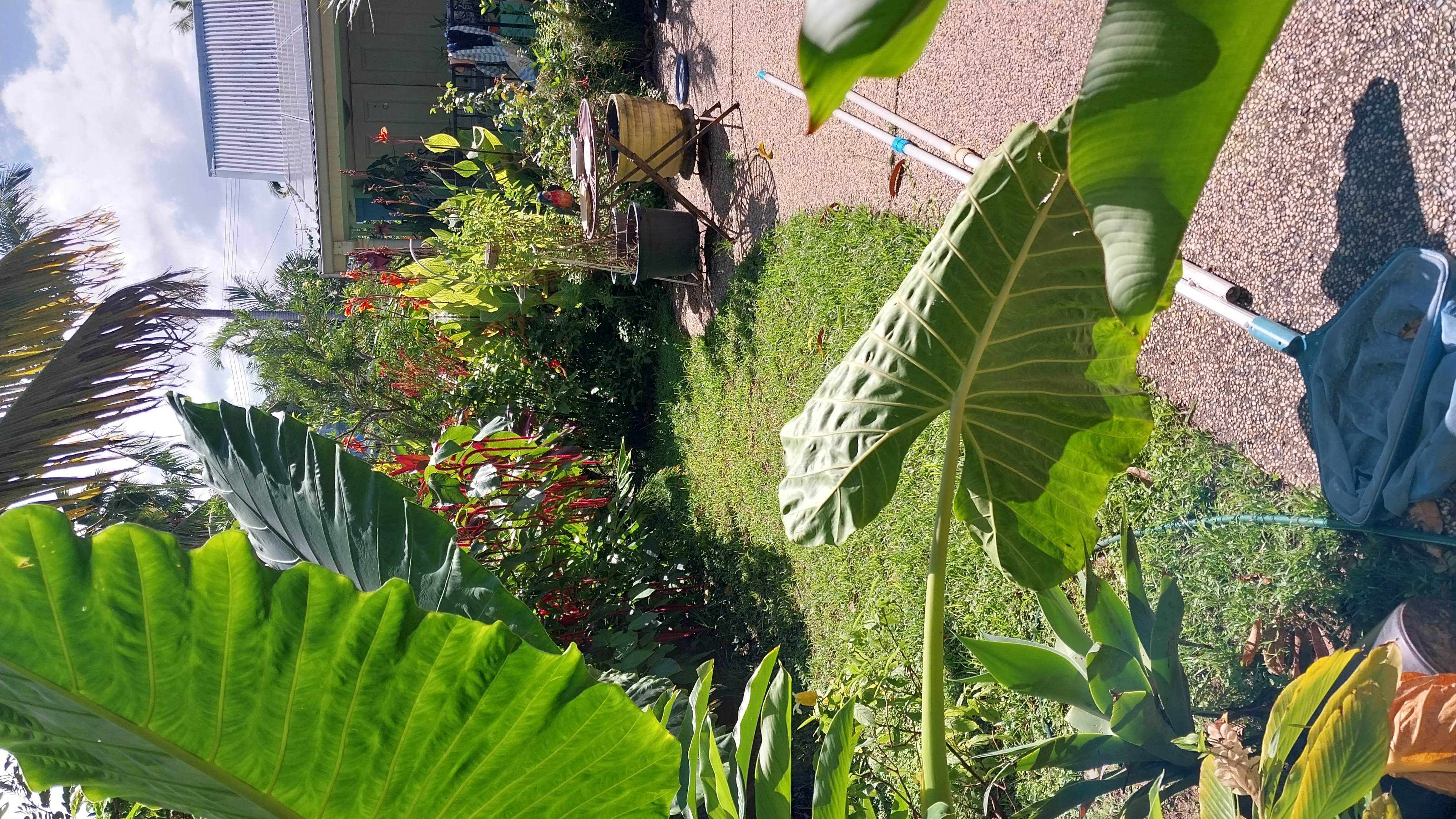 image-17