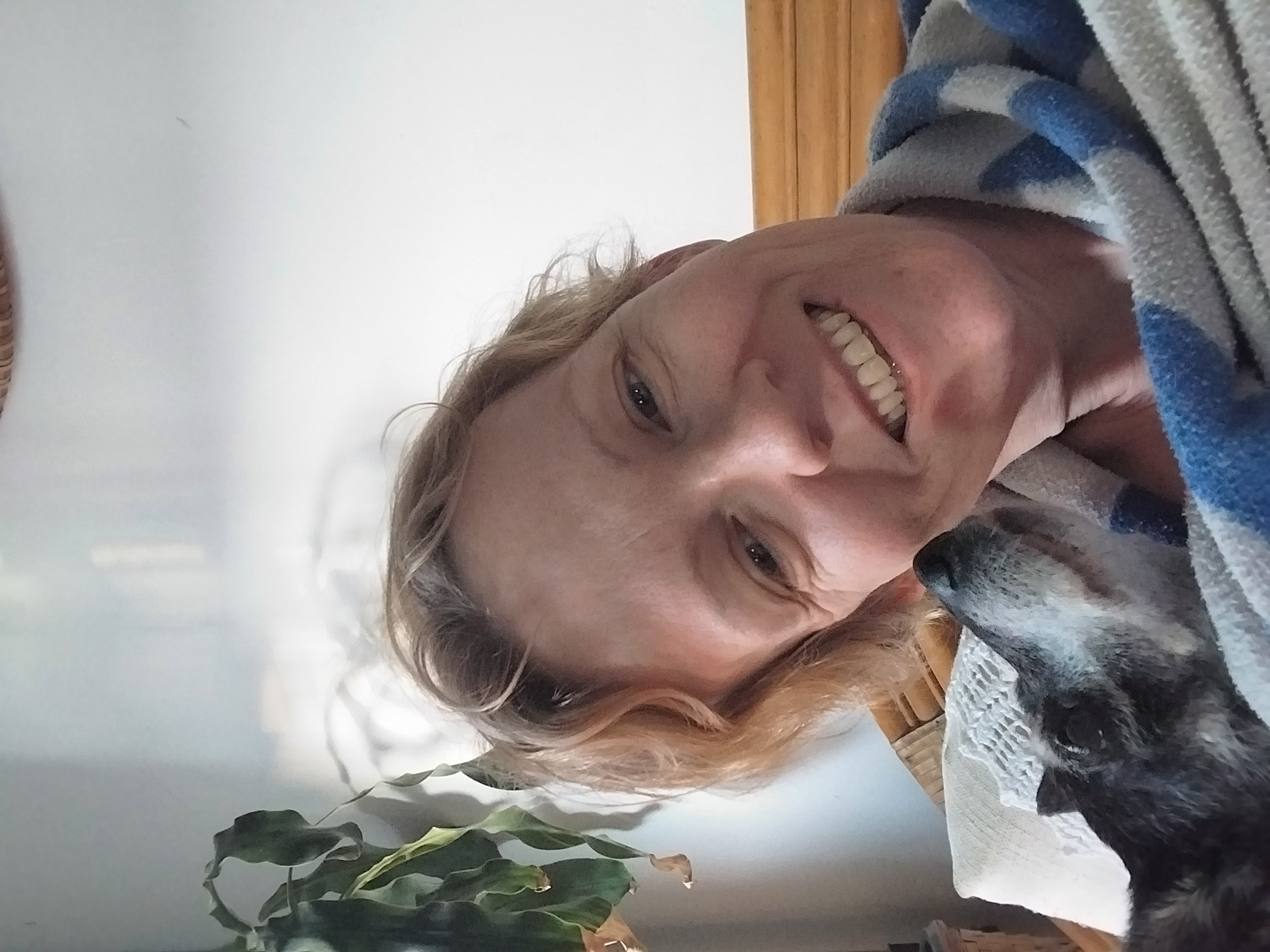 image-13