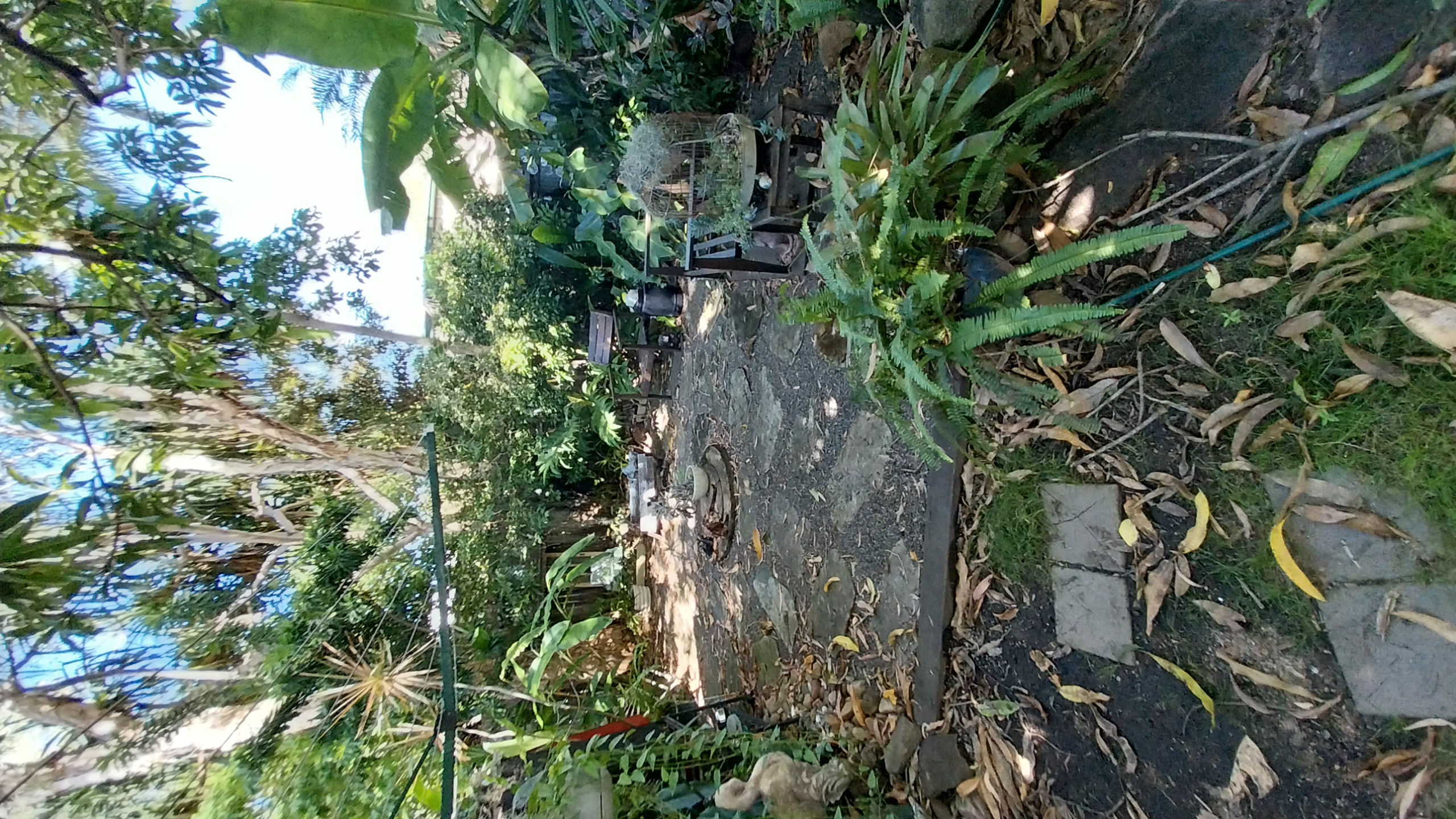 image-18