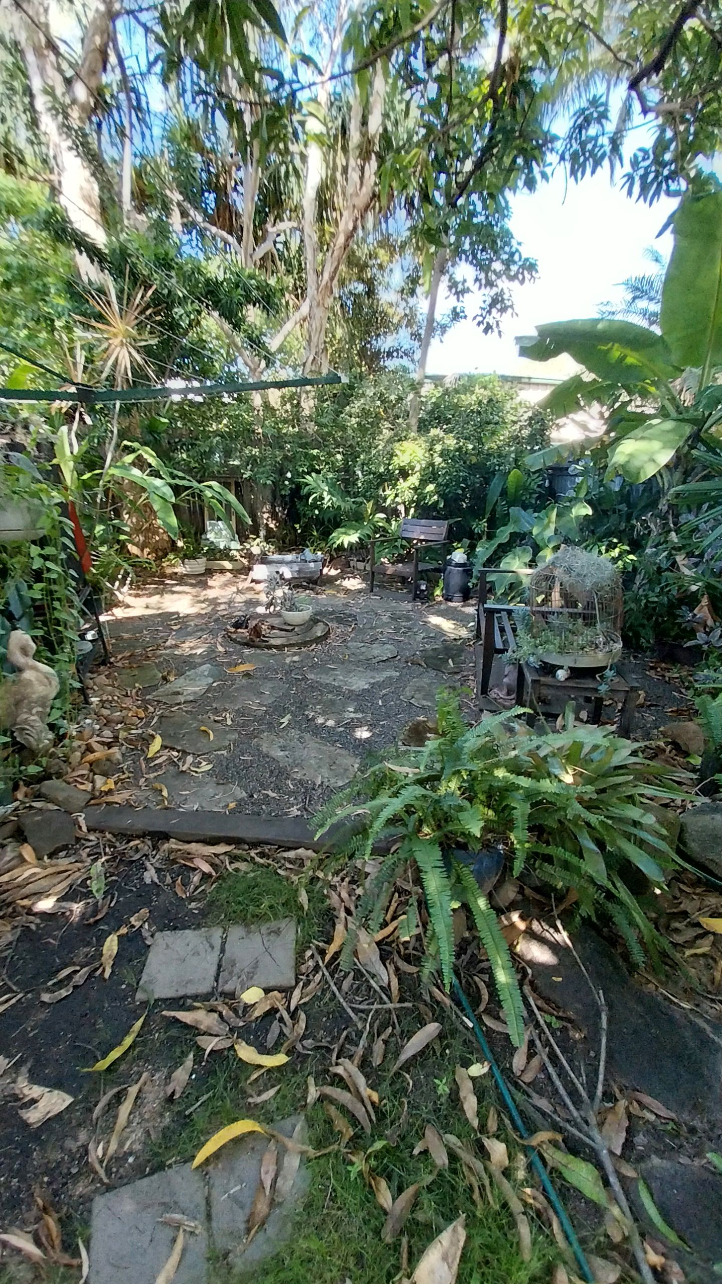 image-18