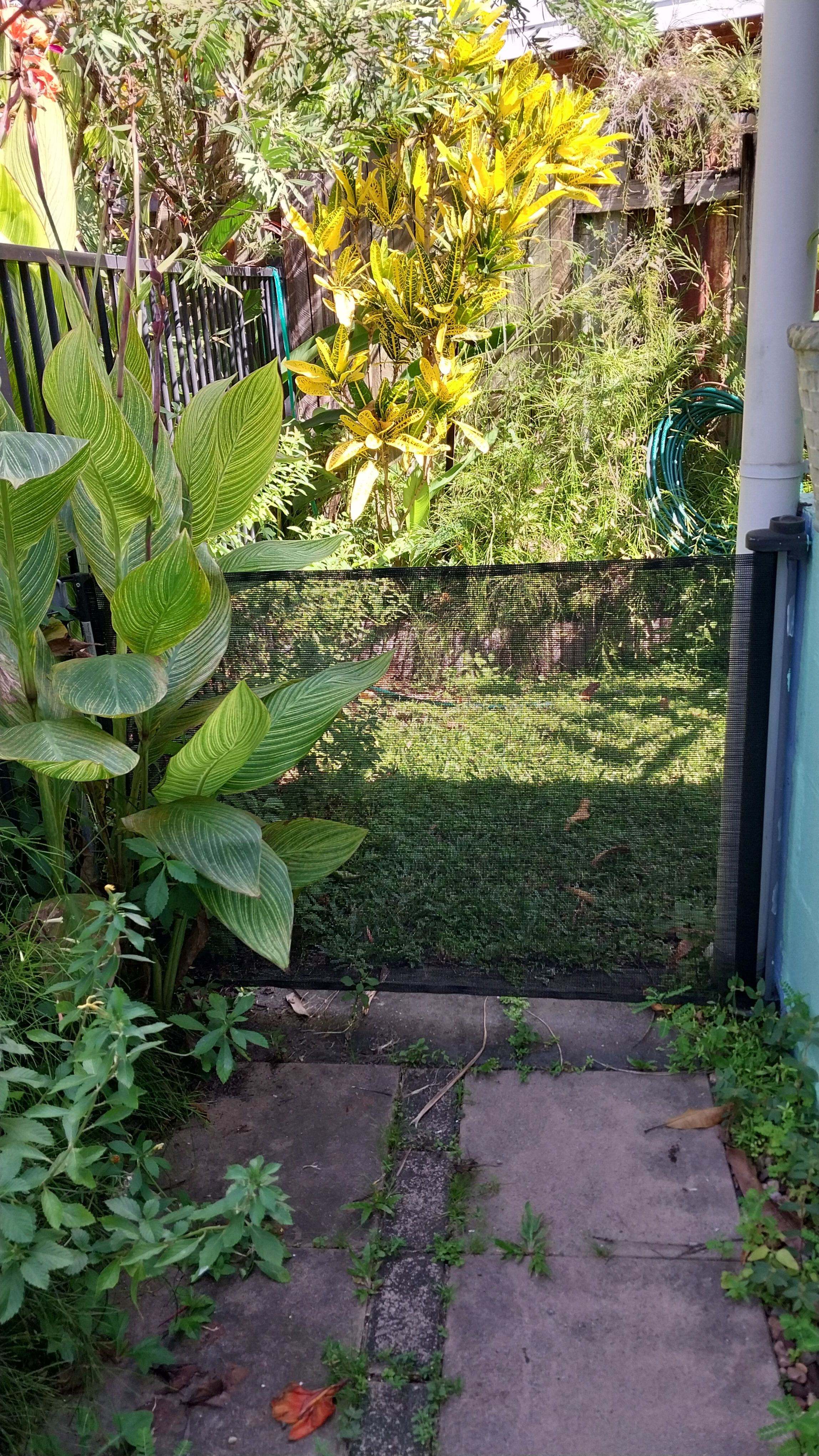 image-19