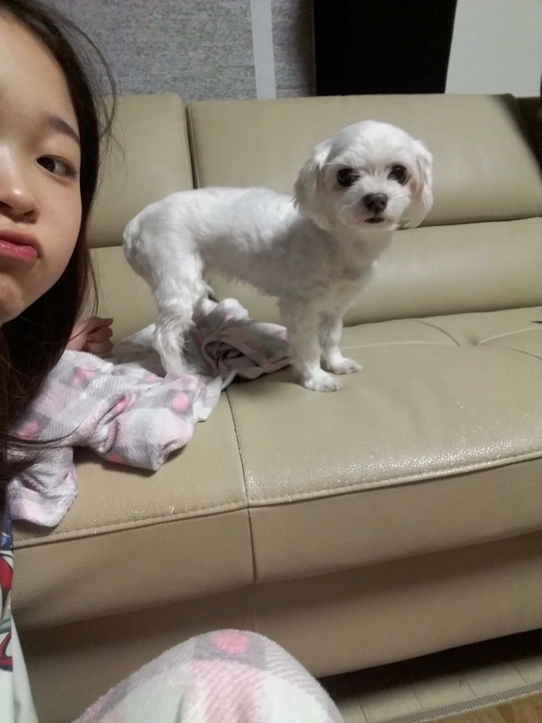 image-8