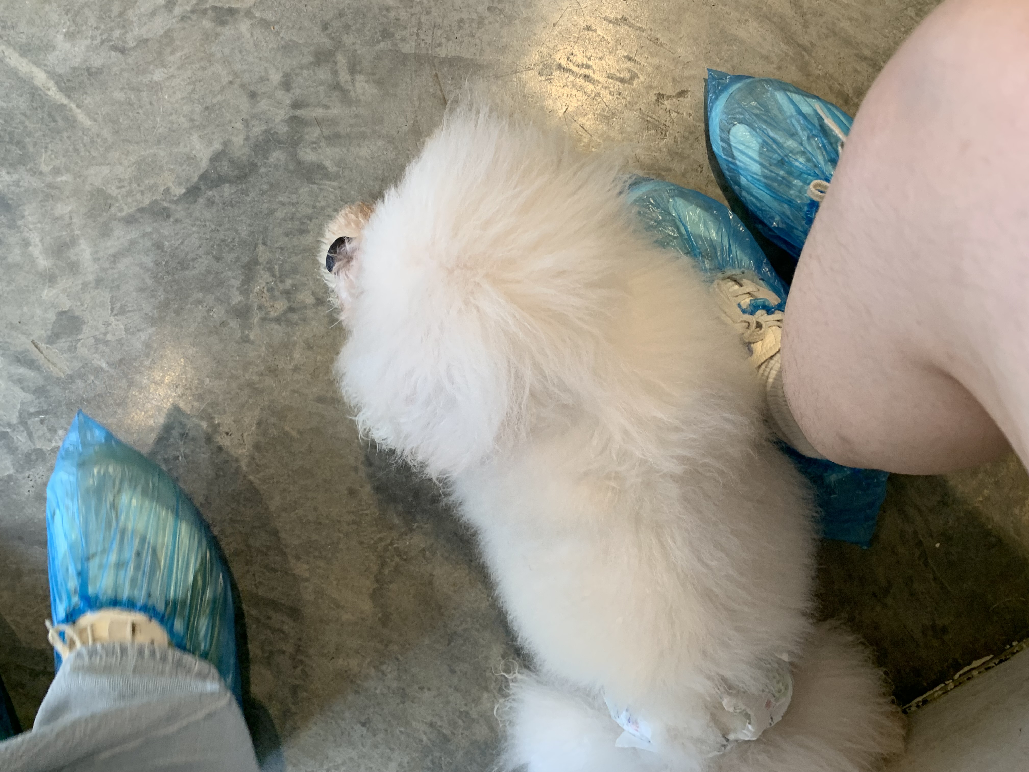 image-6