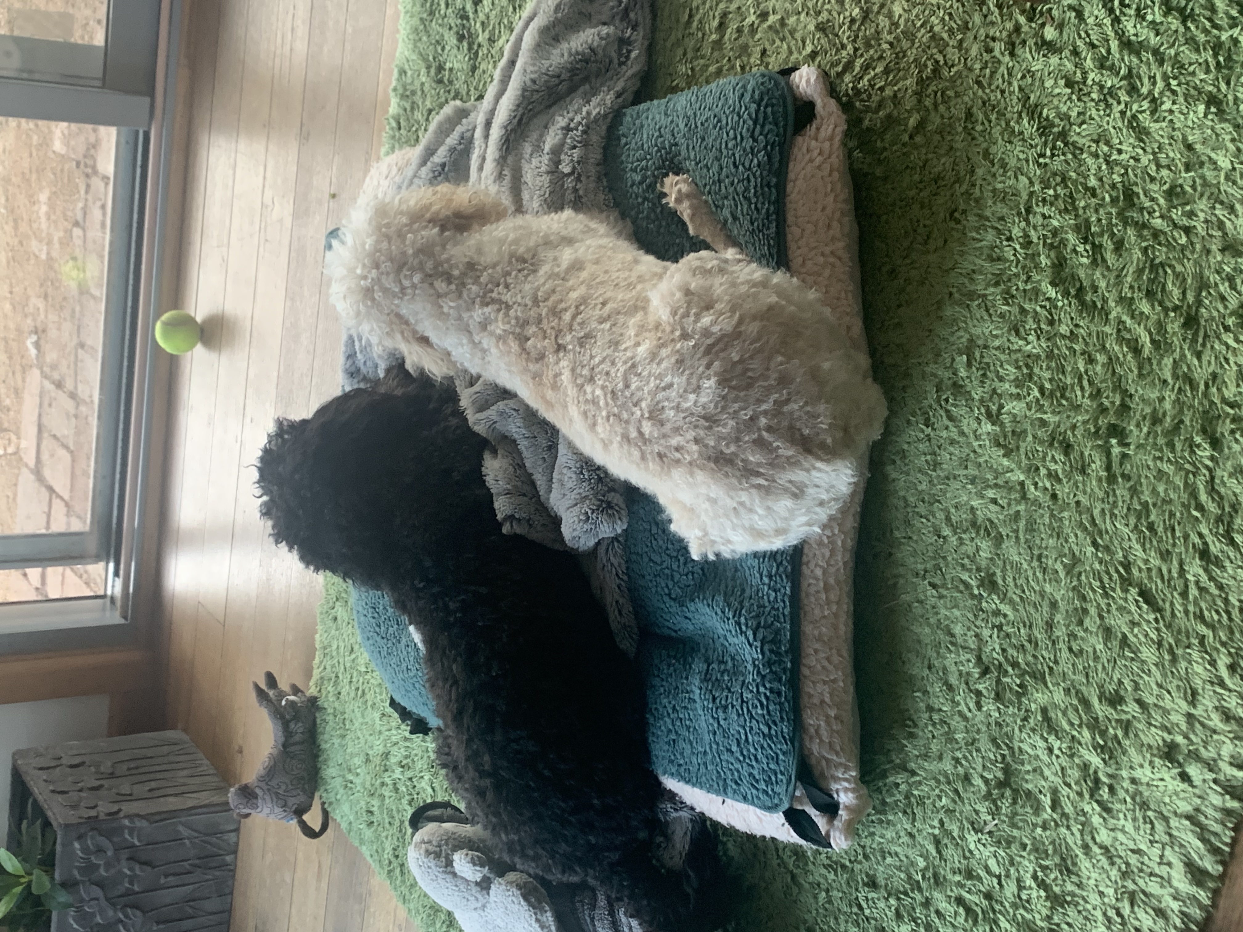 image-6