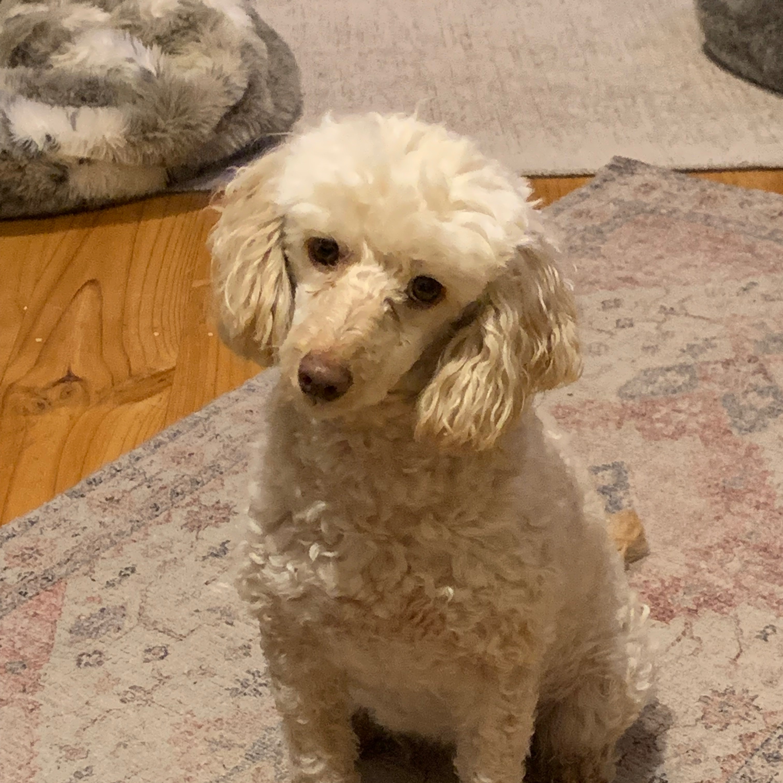Marley