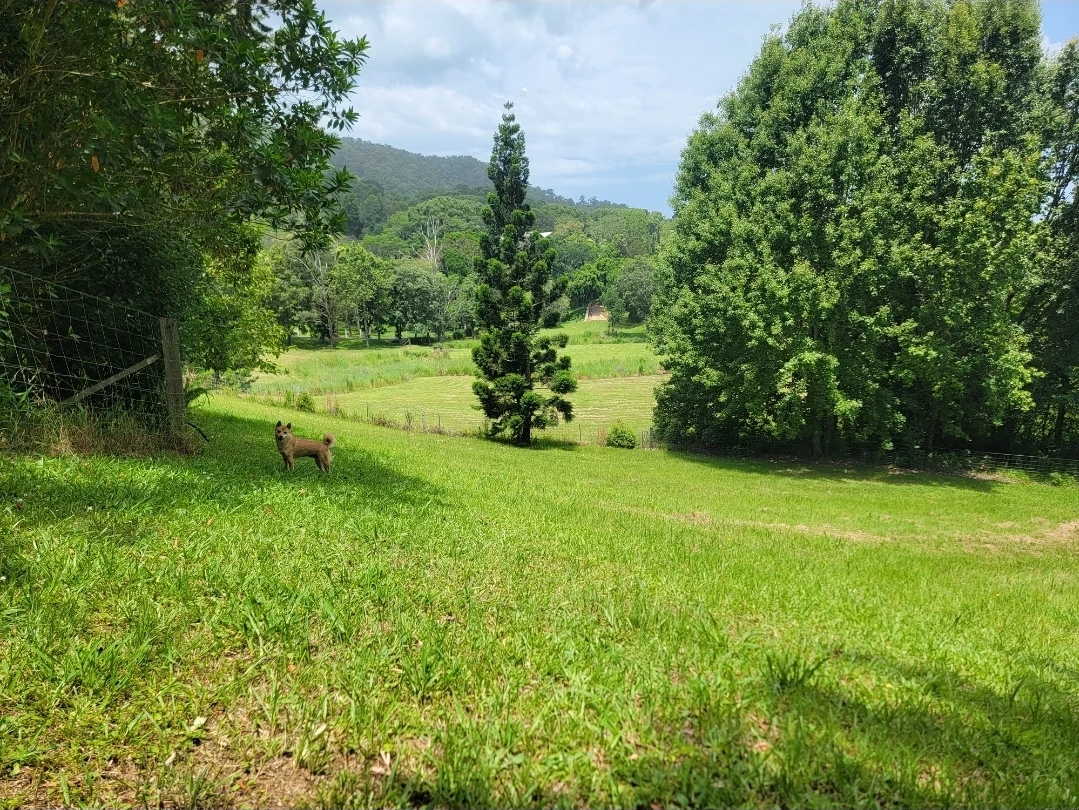 image-13