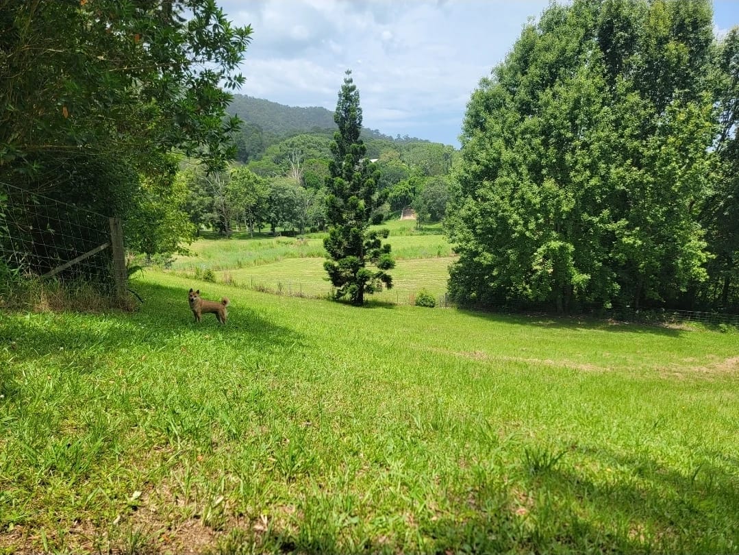 image-13