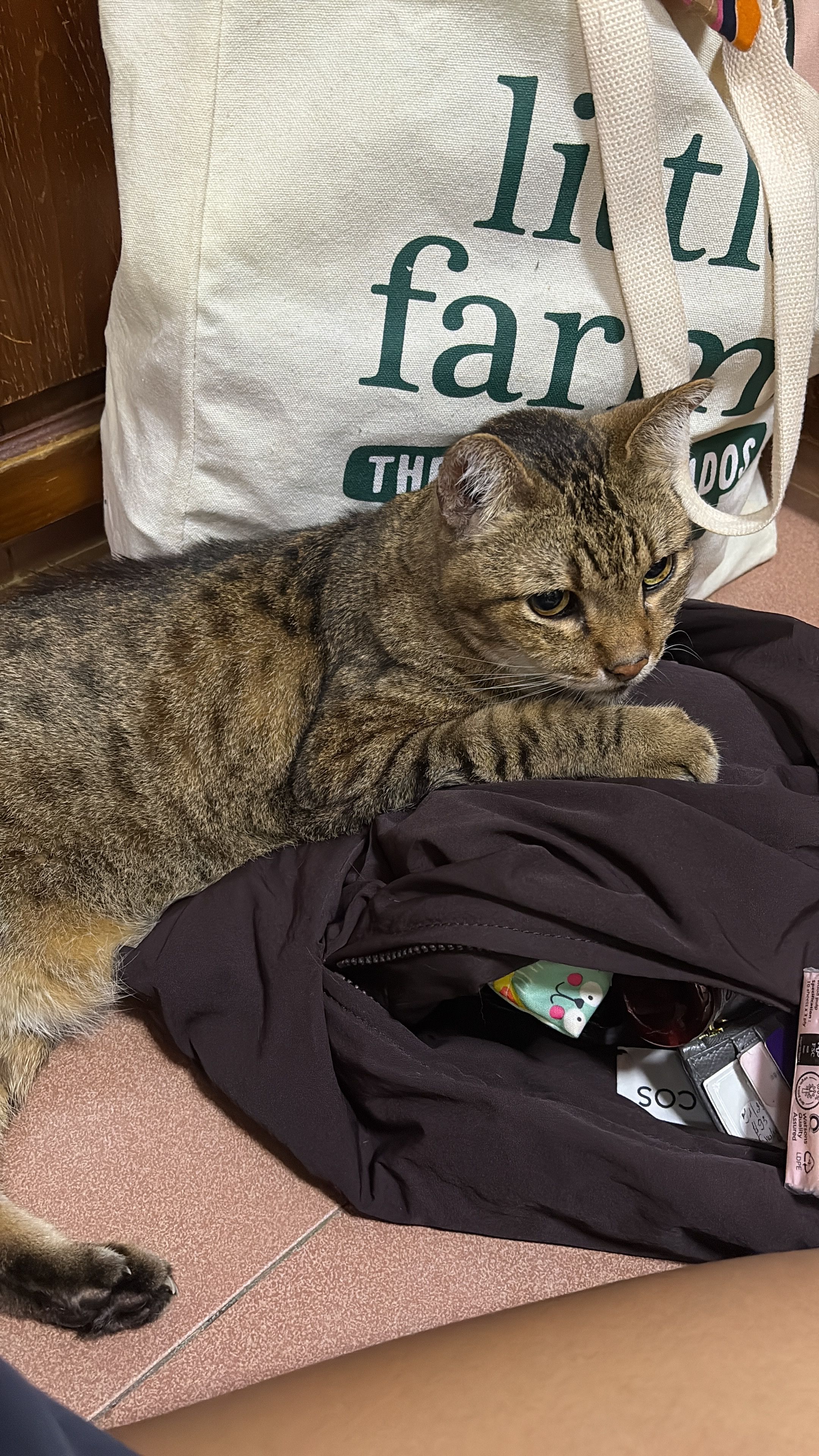 image-5