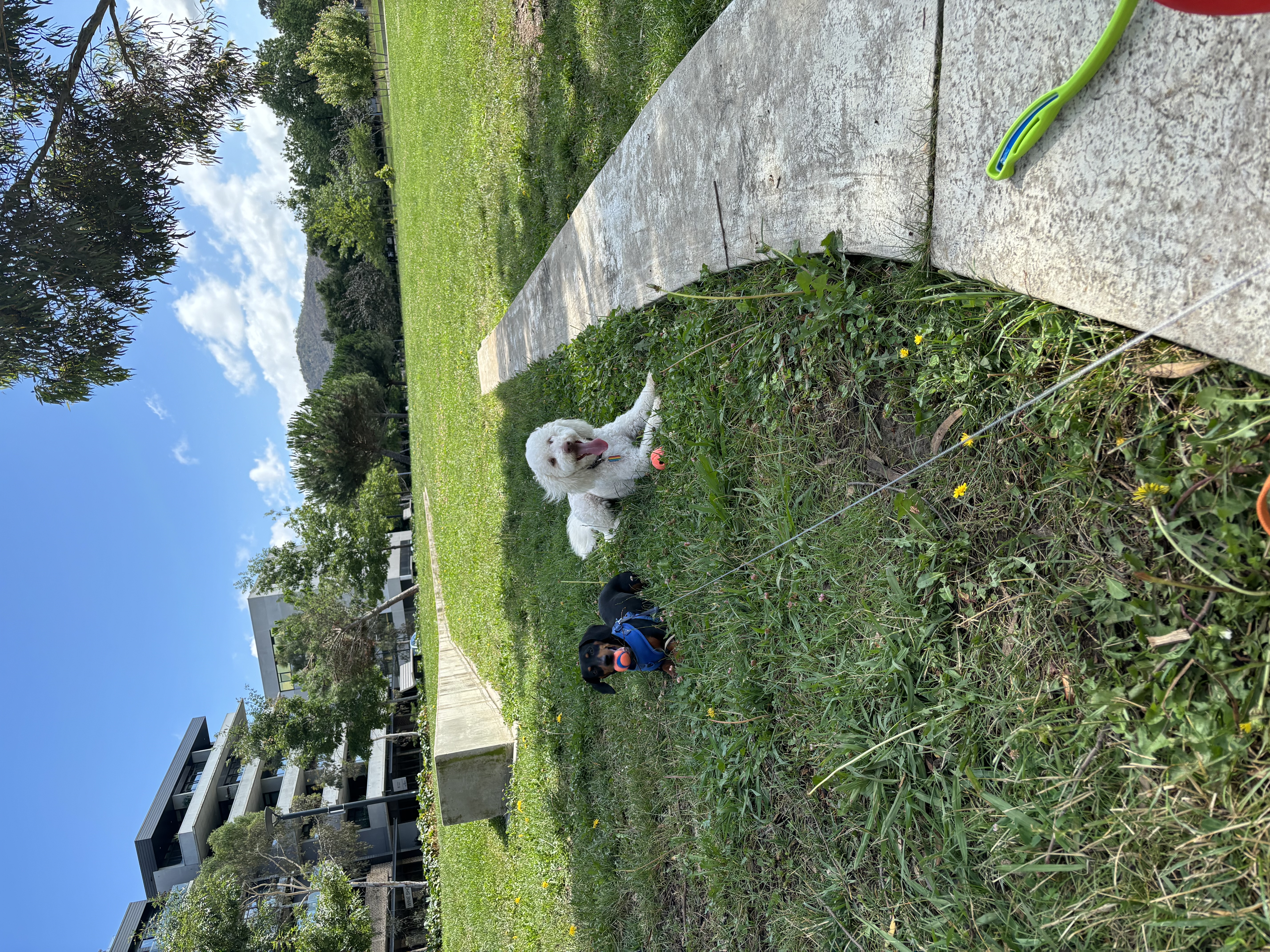 image-26