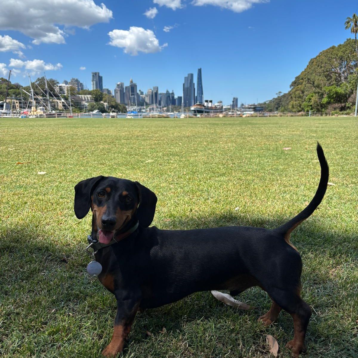 Milo