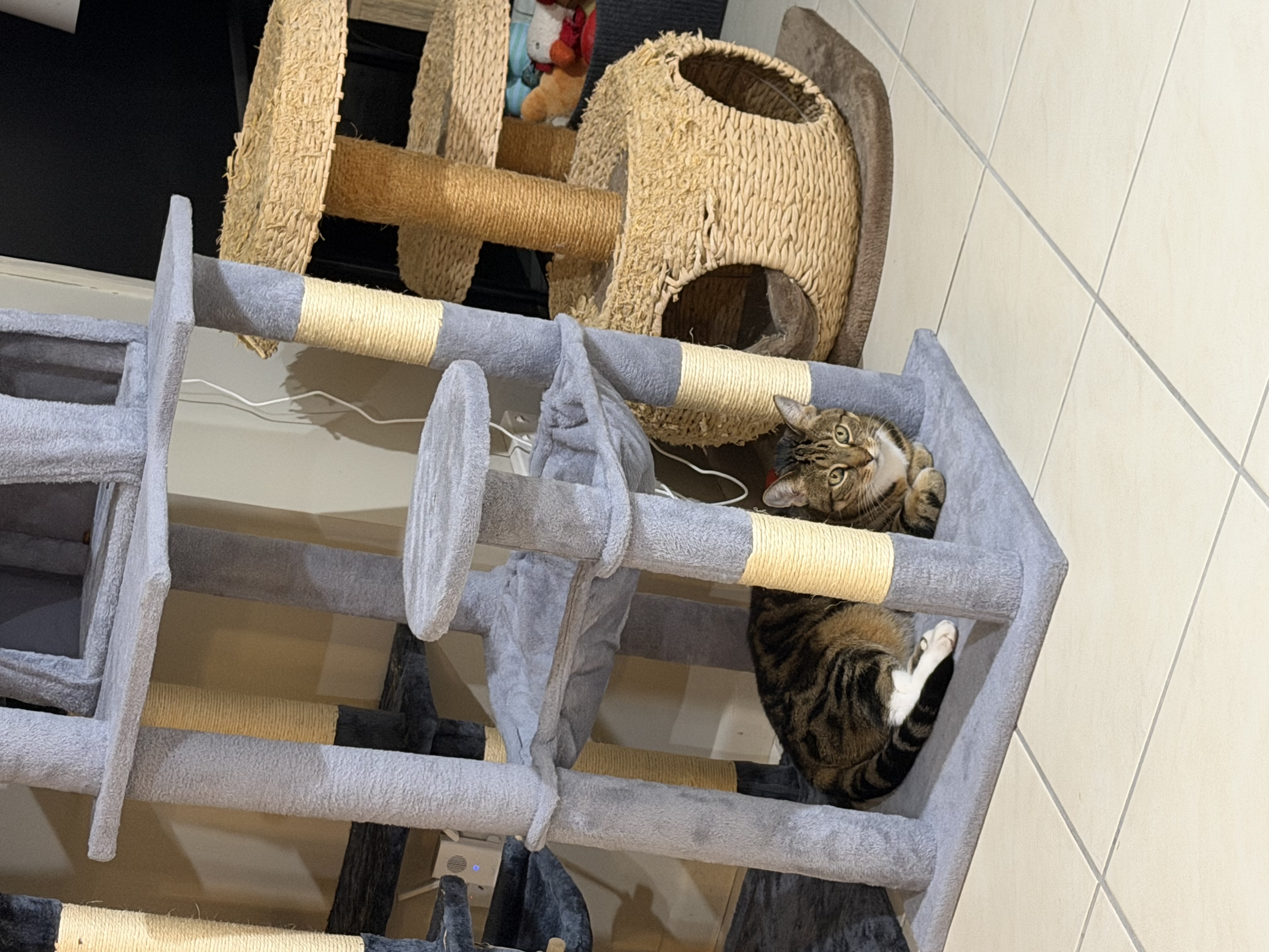 image-5