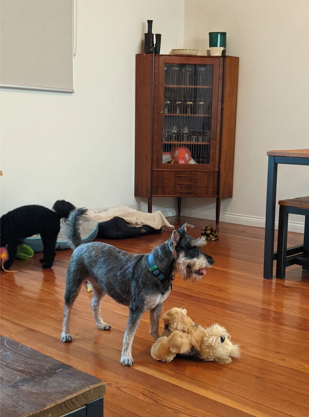 image-14