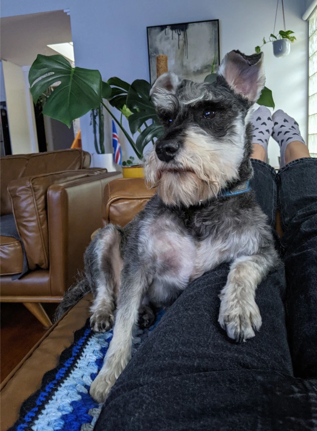 image-10