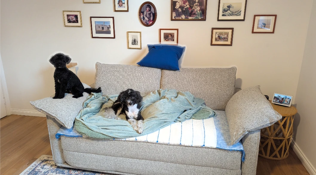 image-12
