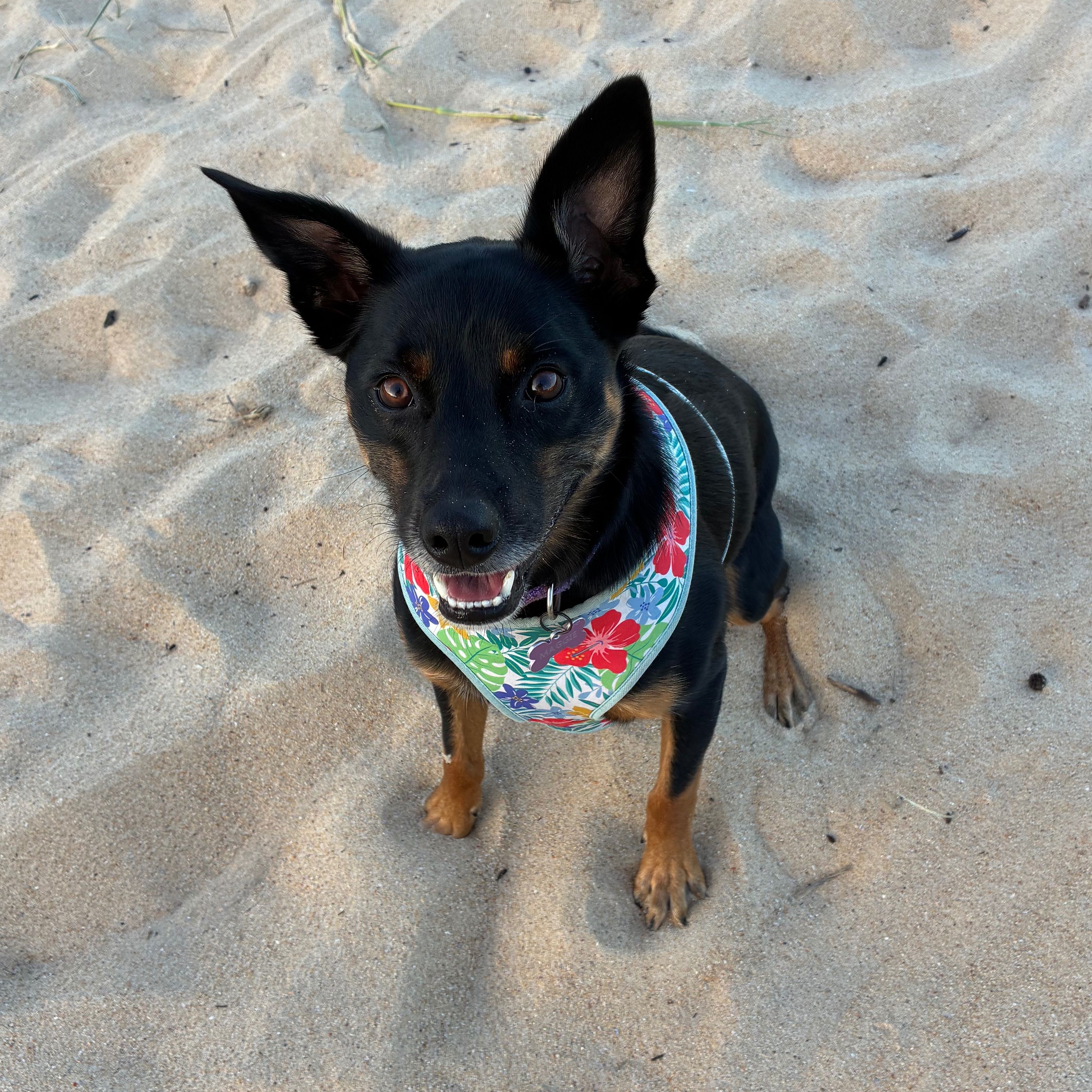 Maggie