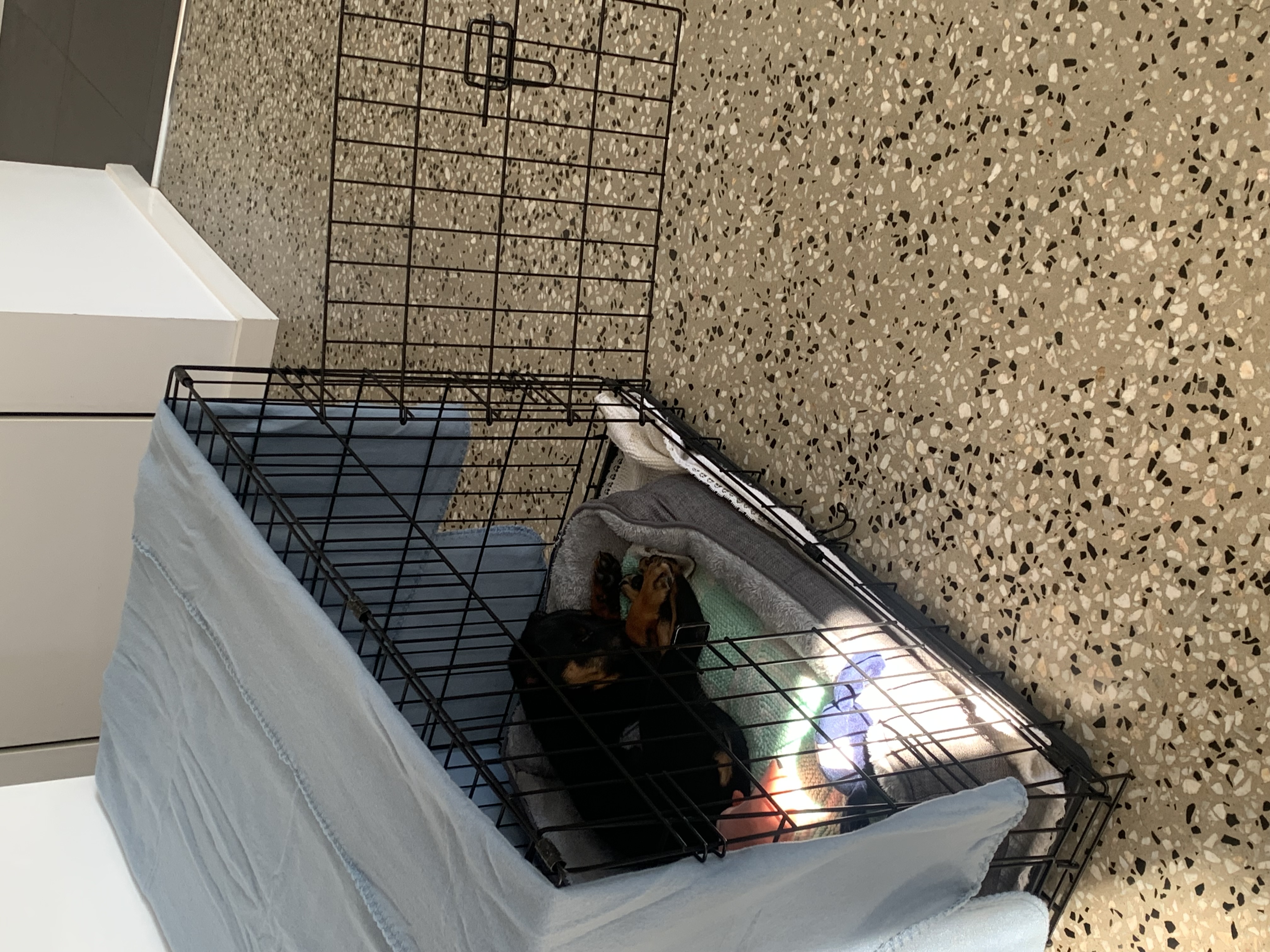 image-4