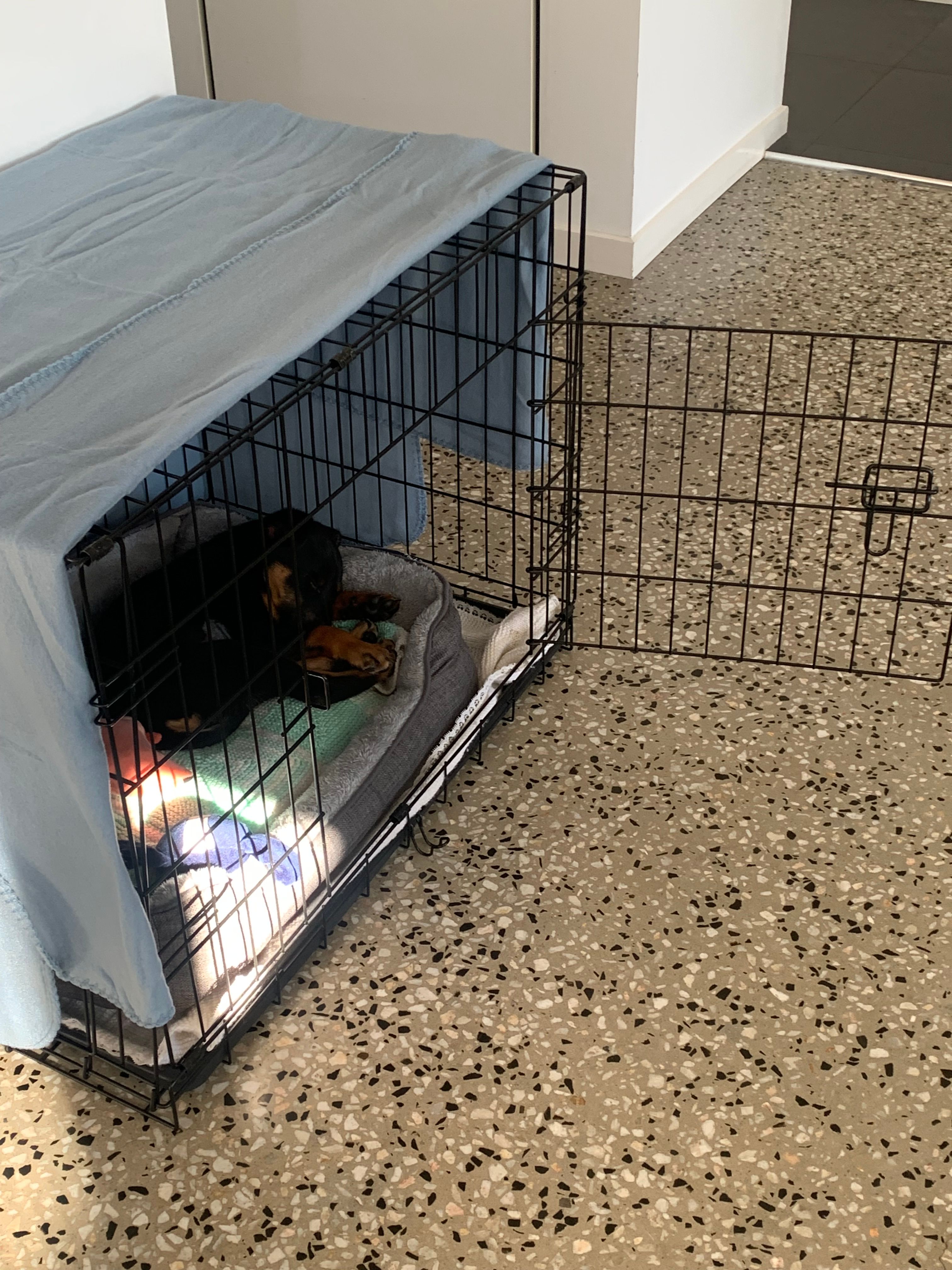 image-4