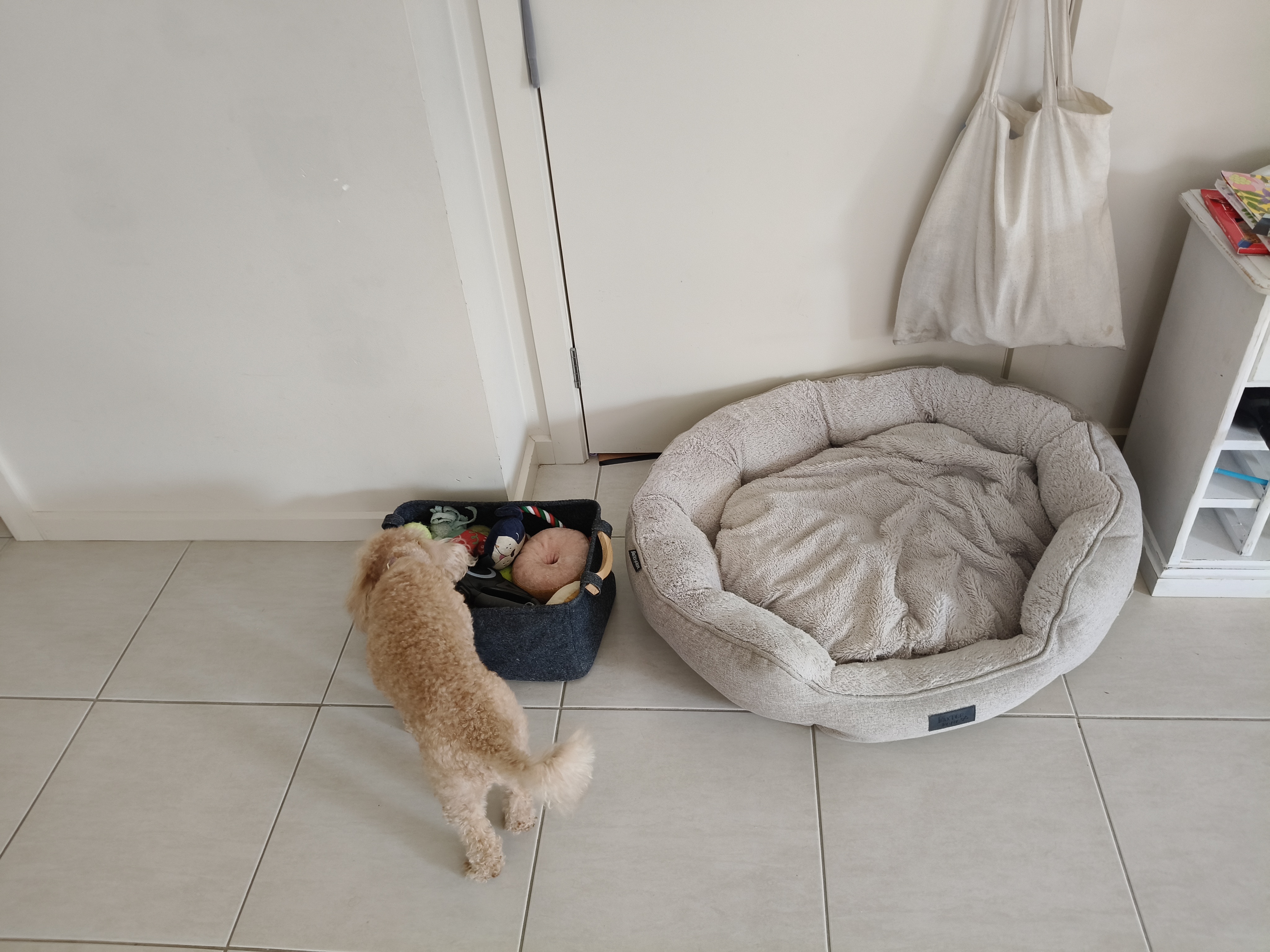 image-23