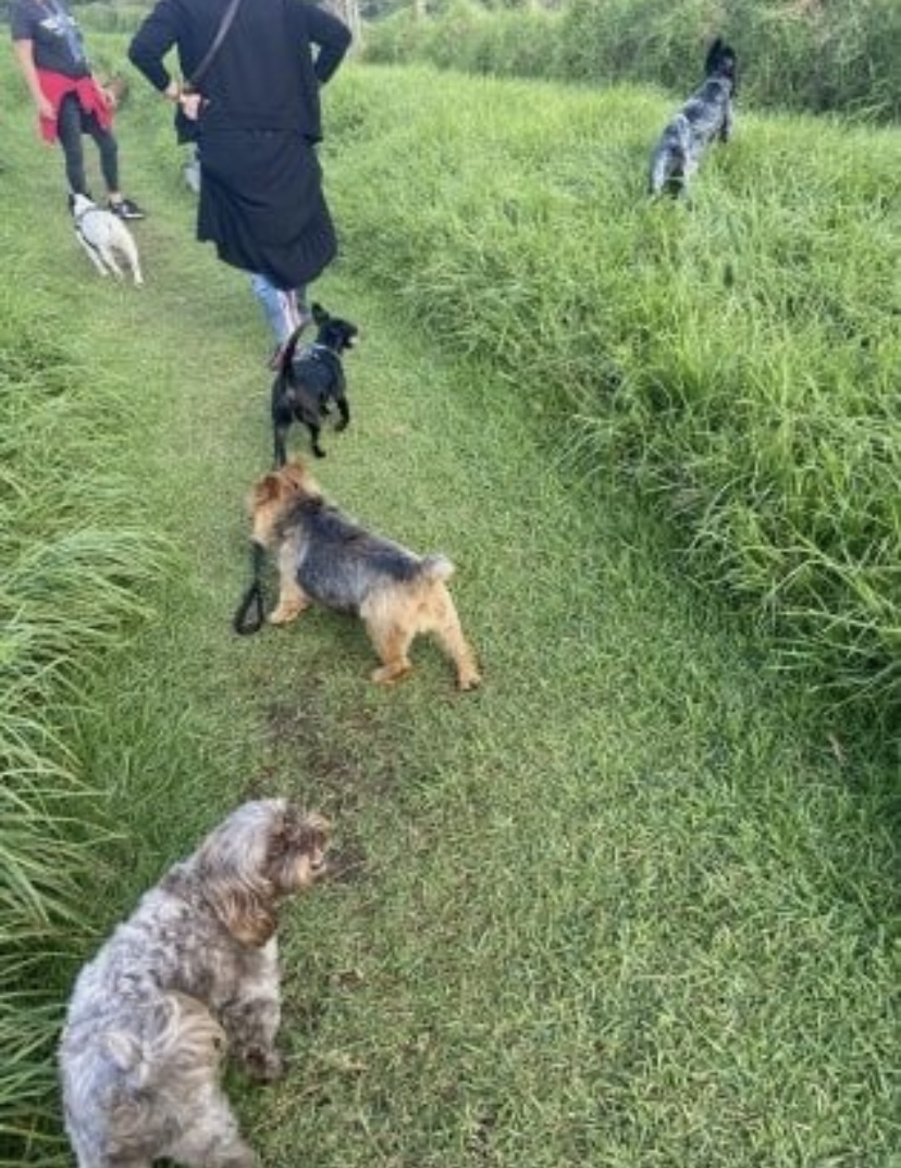 image-5