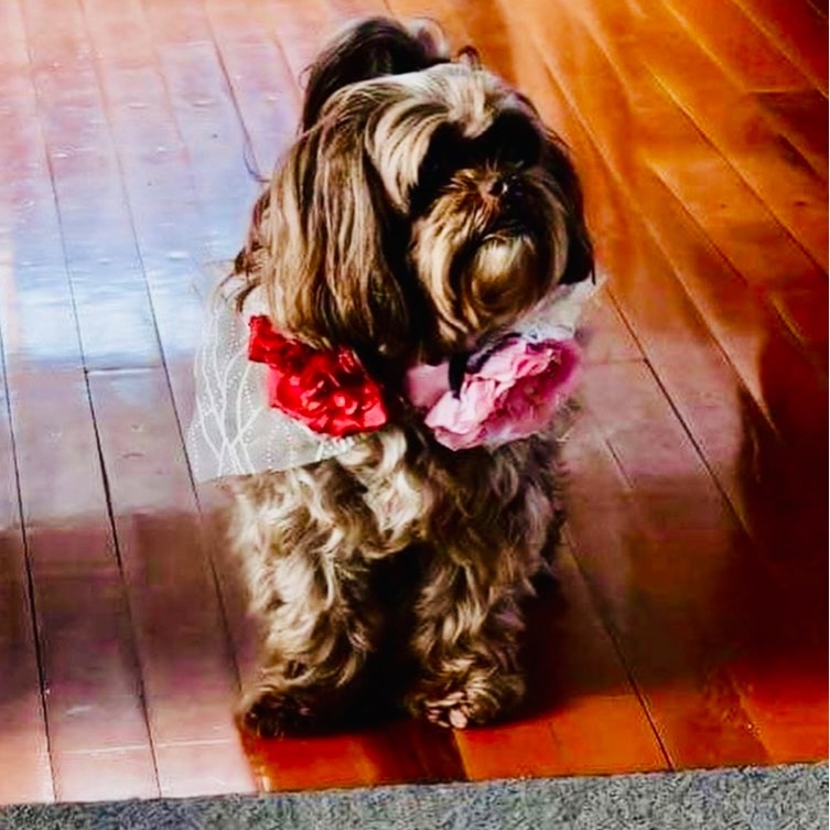 Roxy