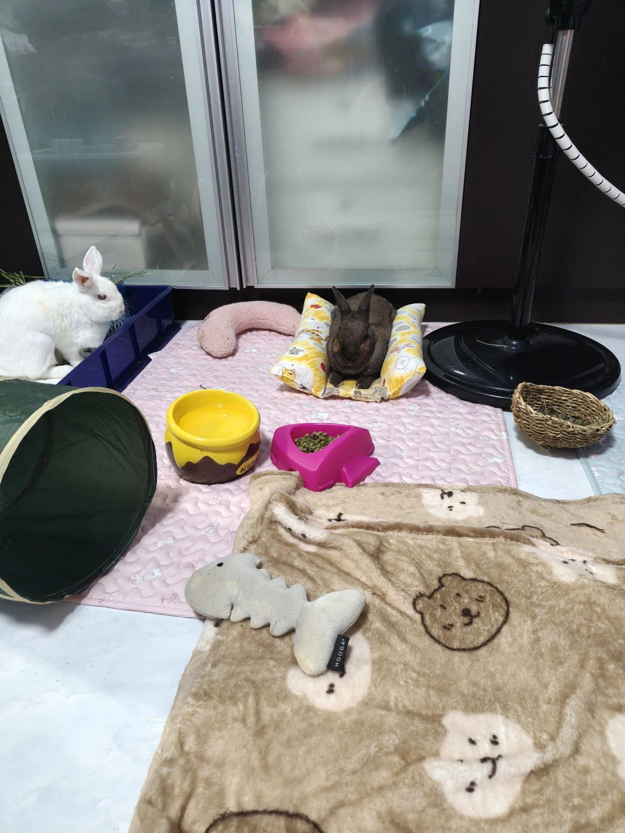 image-8