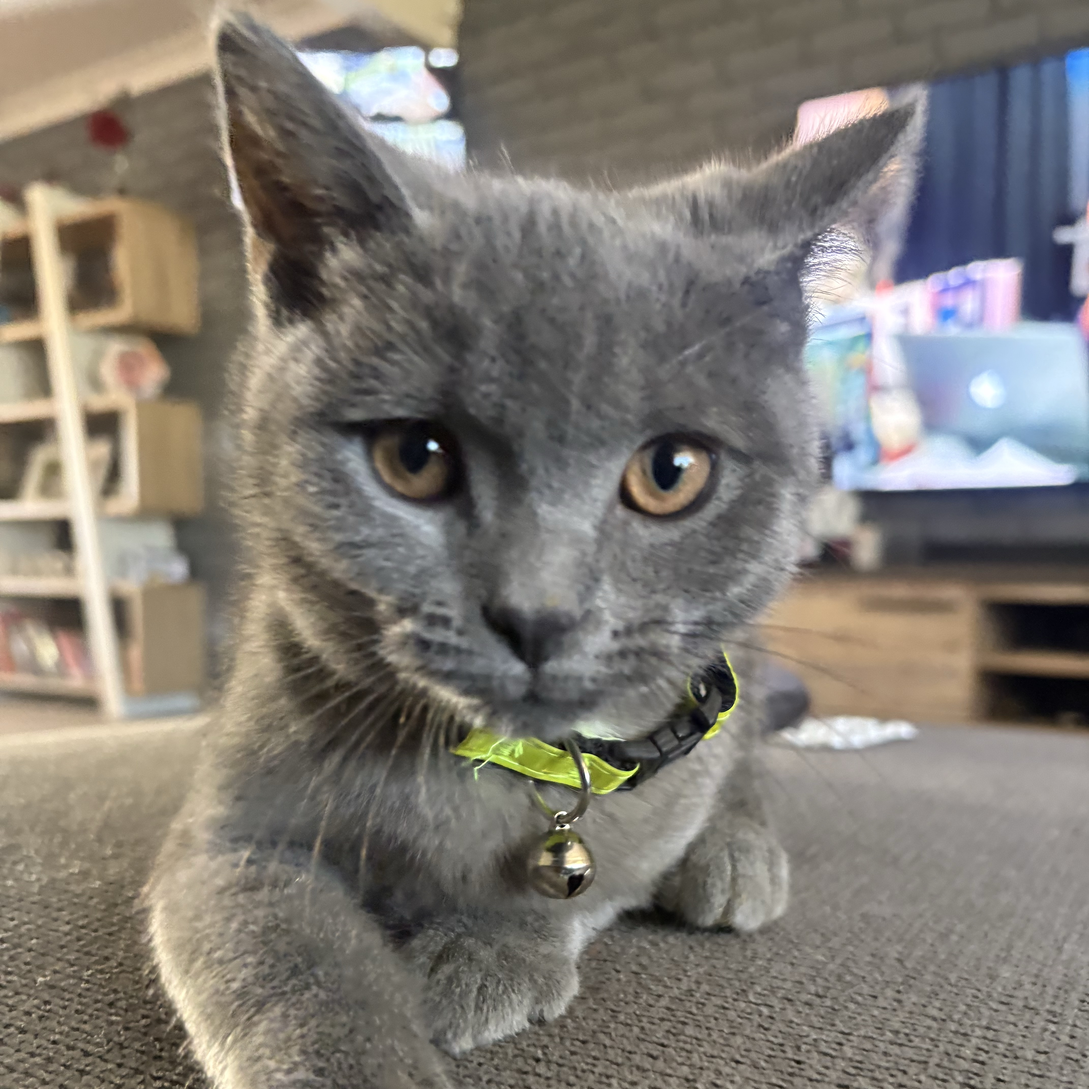 Charlie