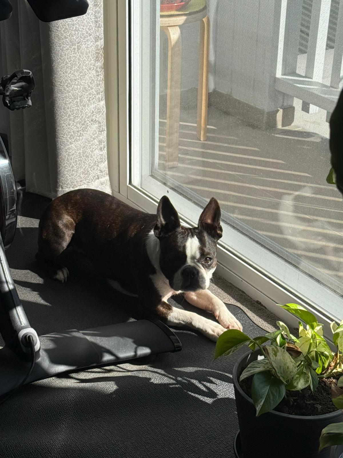 image-12