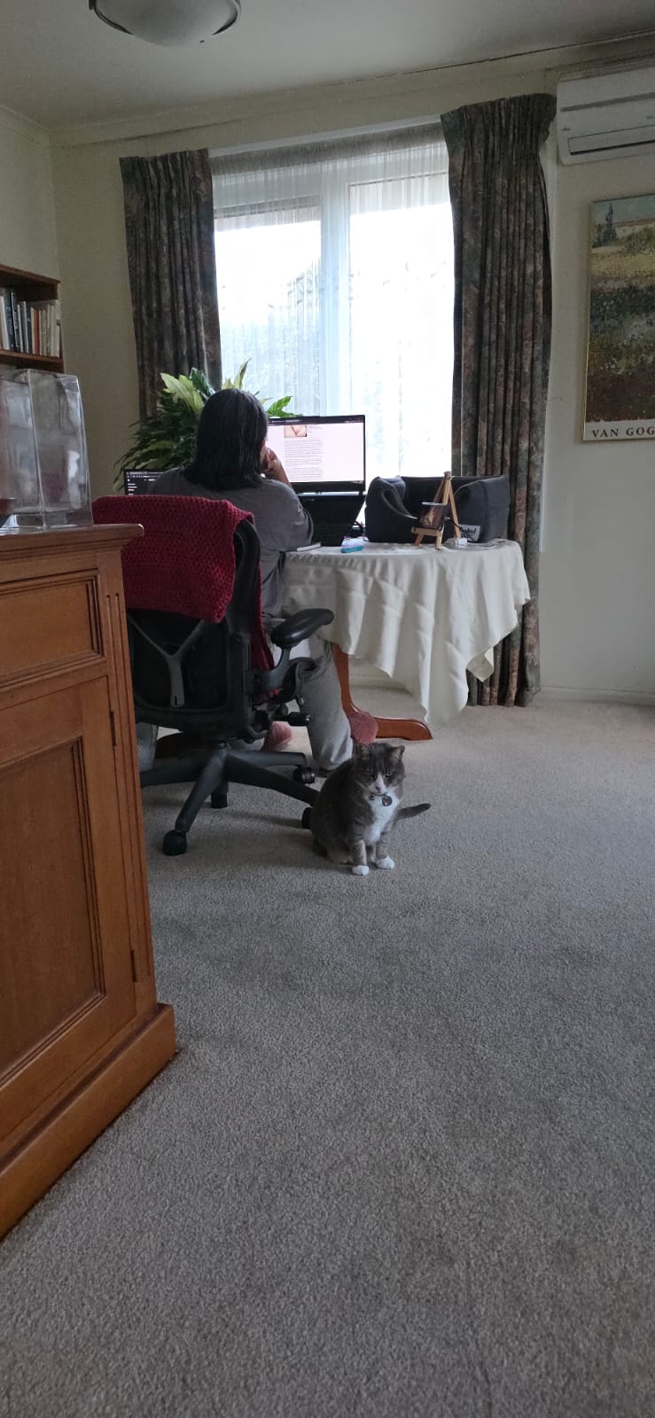 image-14