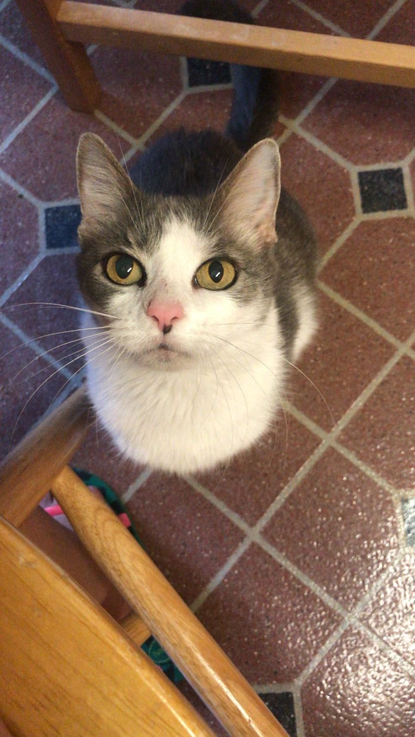 image-10