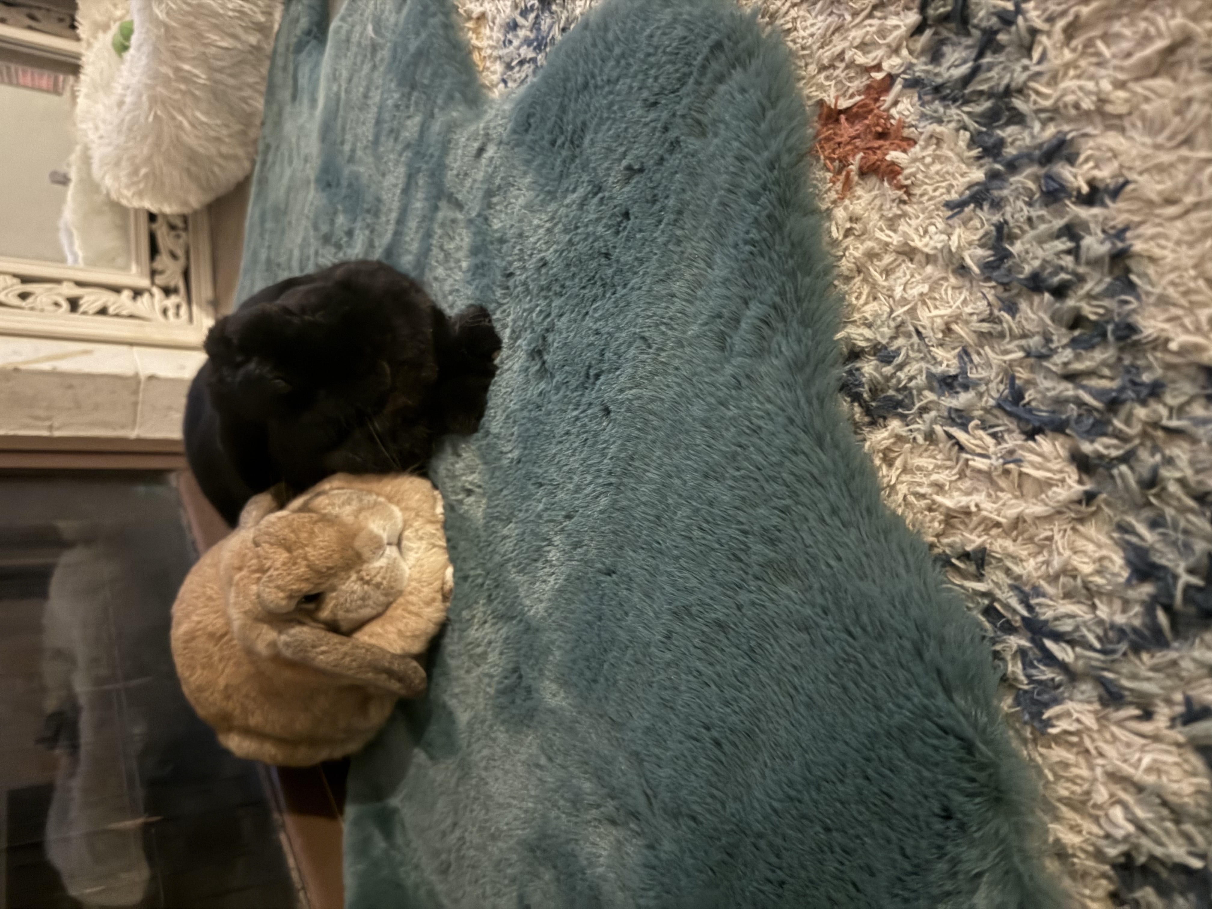 image-5