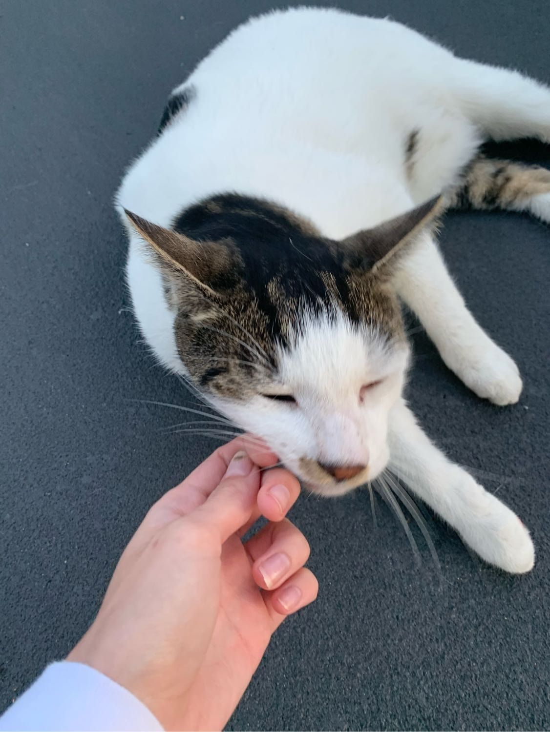 image-6