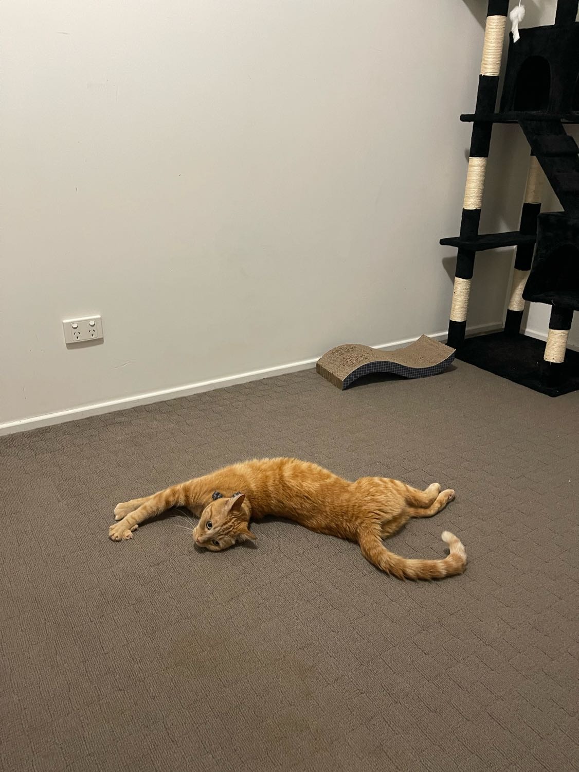 image-11