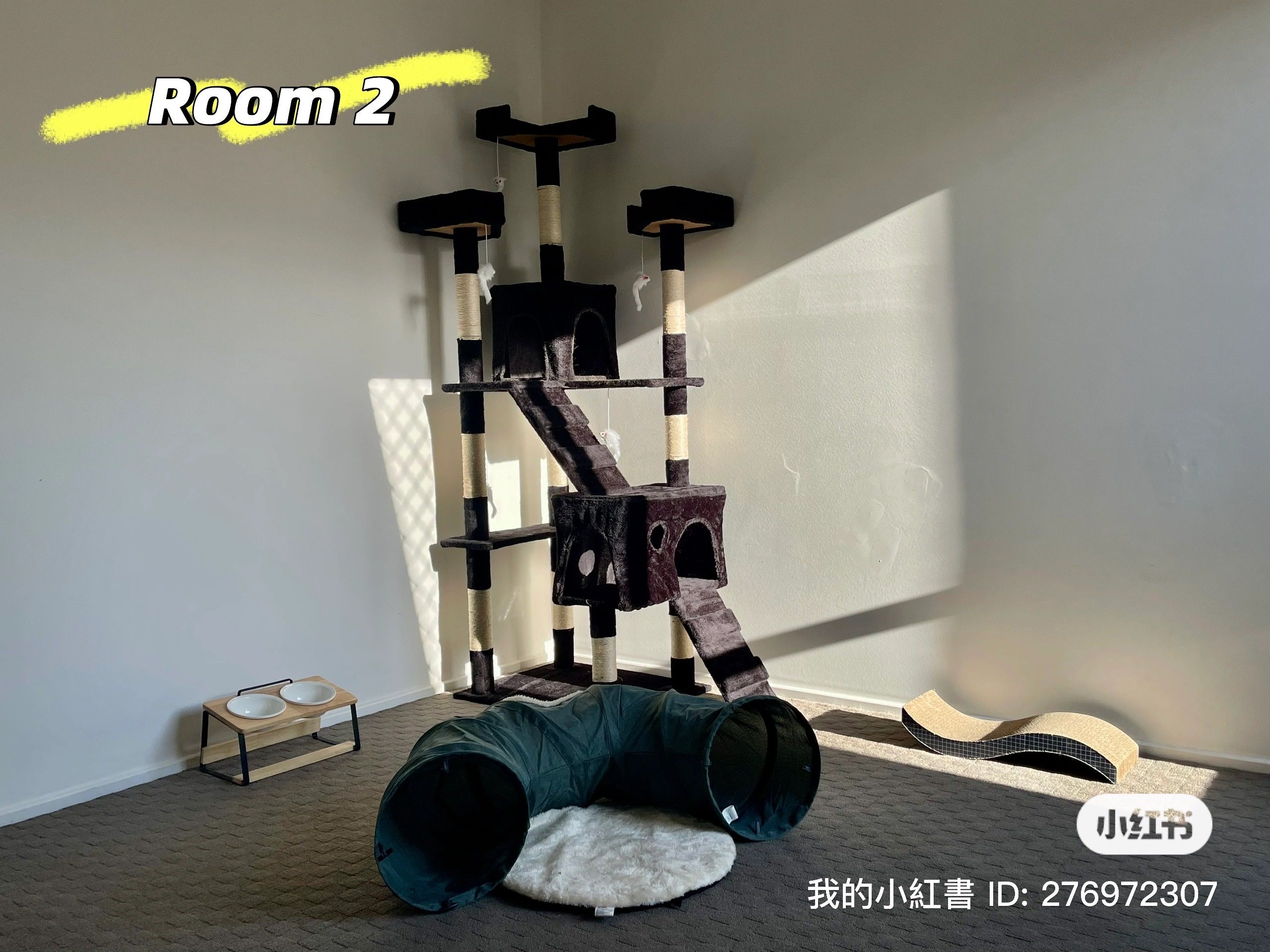 image-29