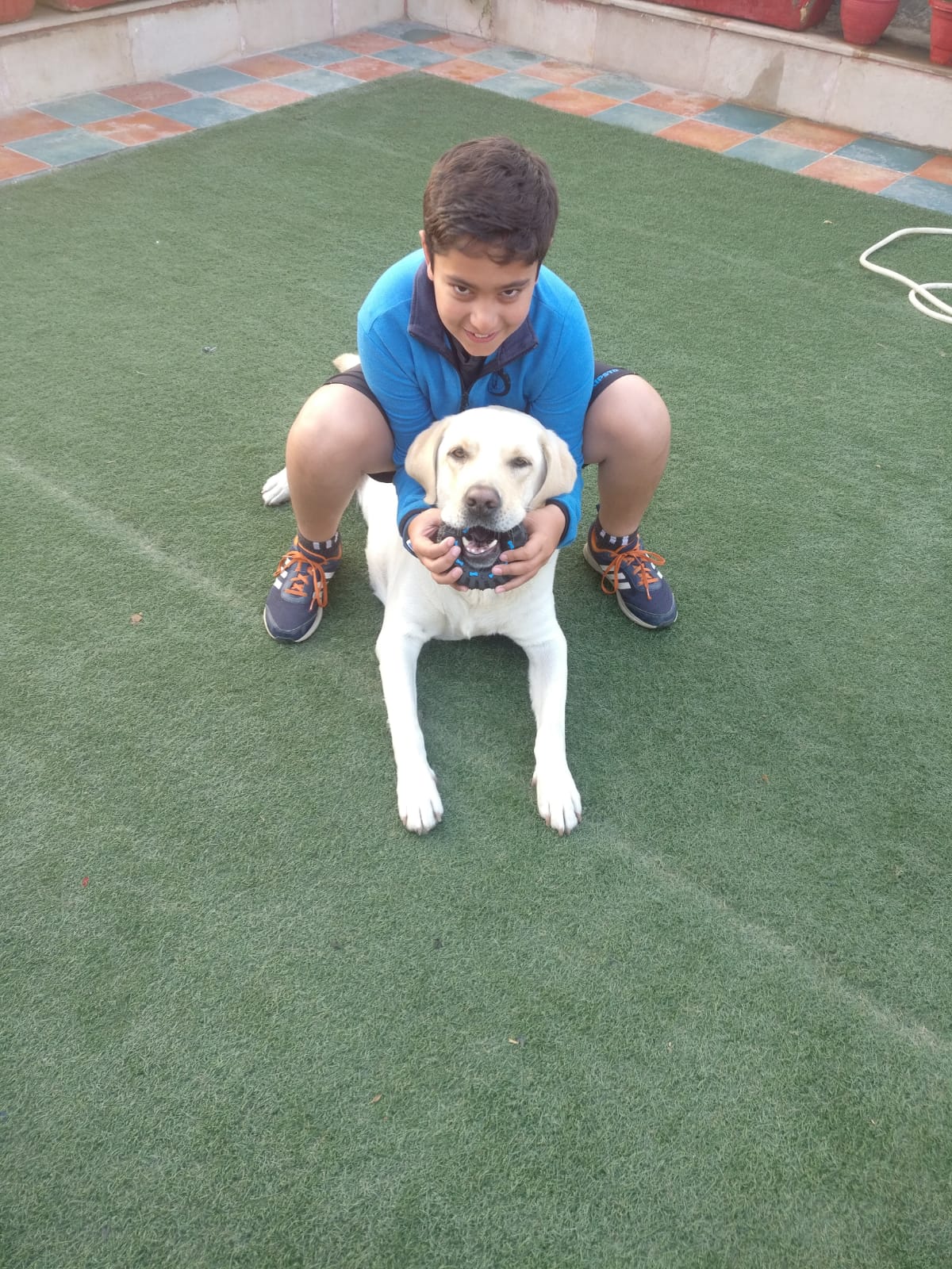image-5