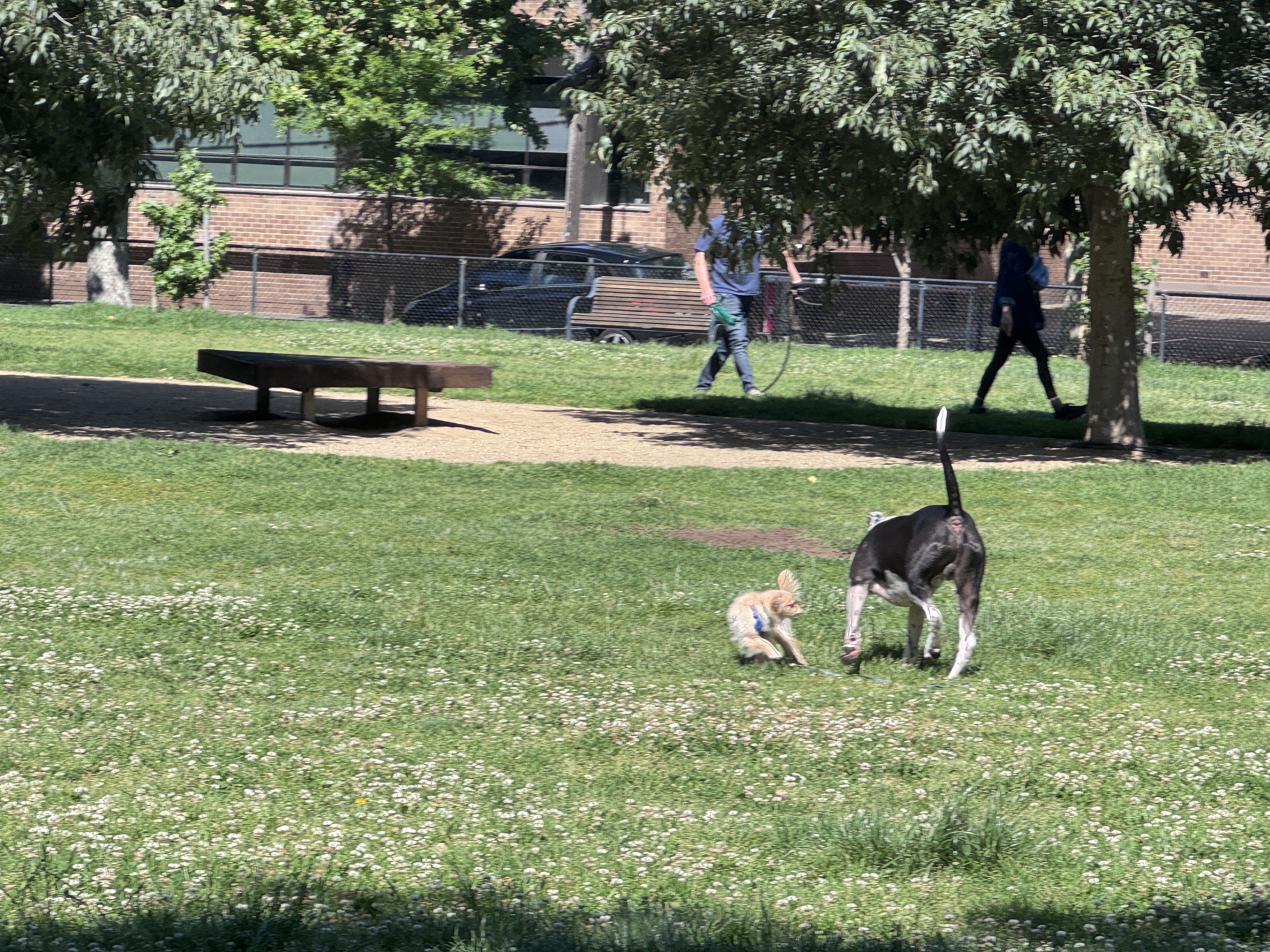 image-18