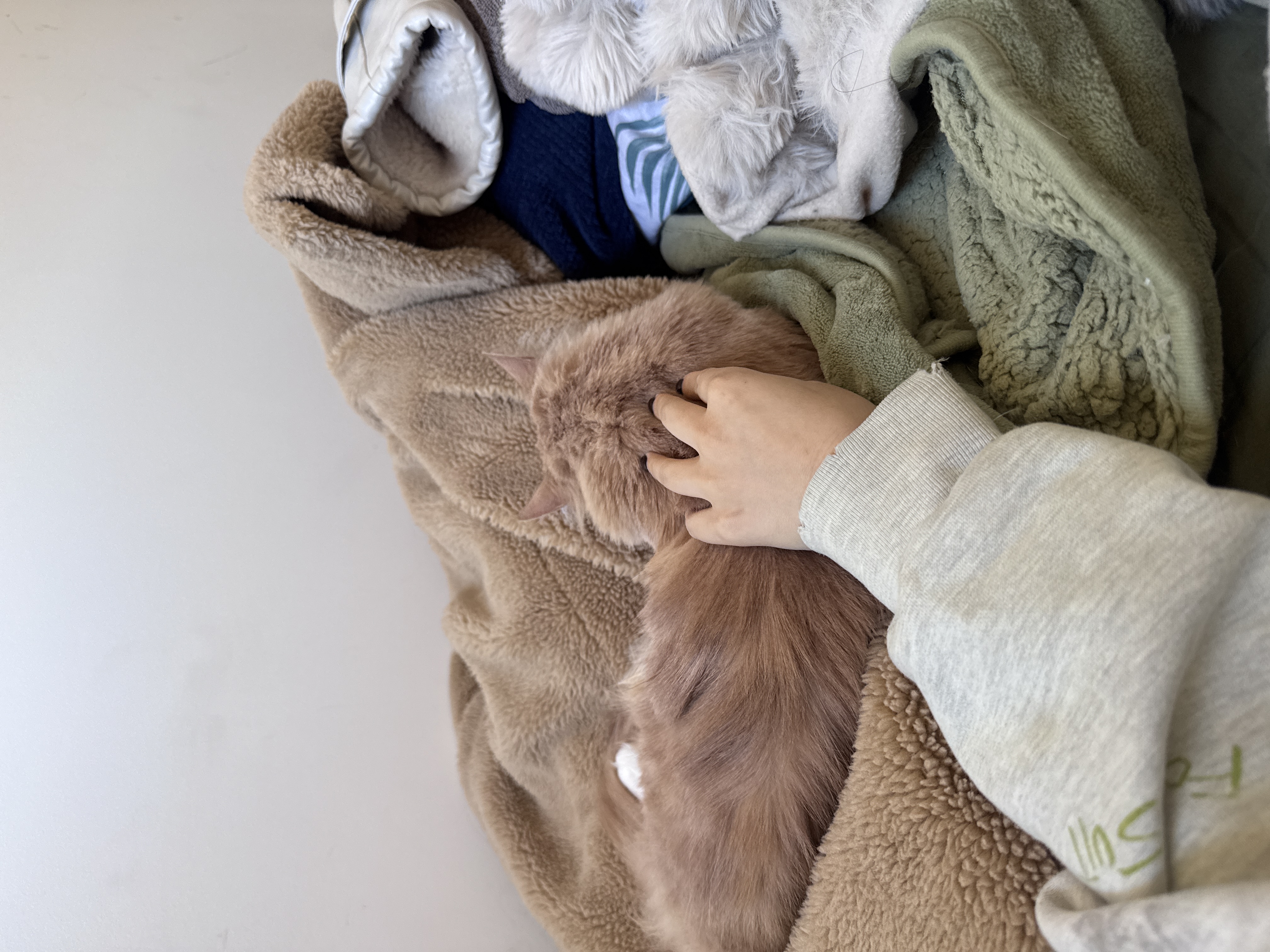 image-8