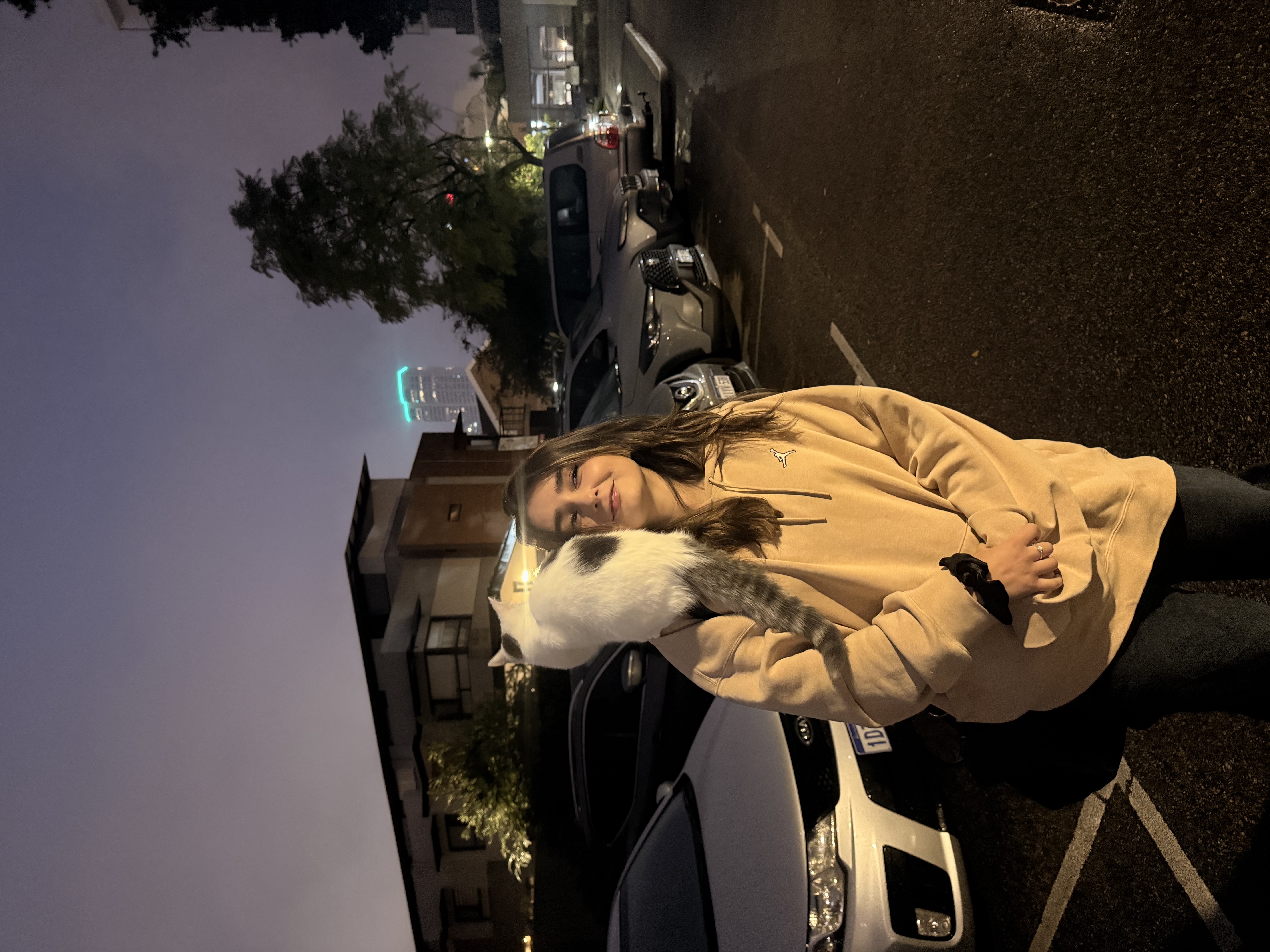 image-8
