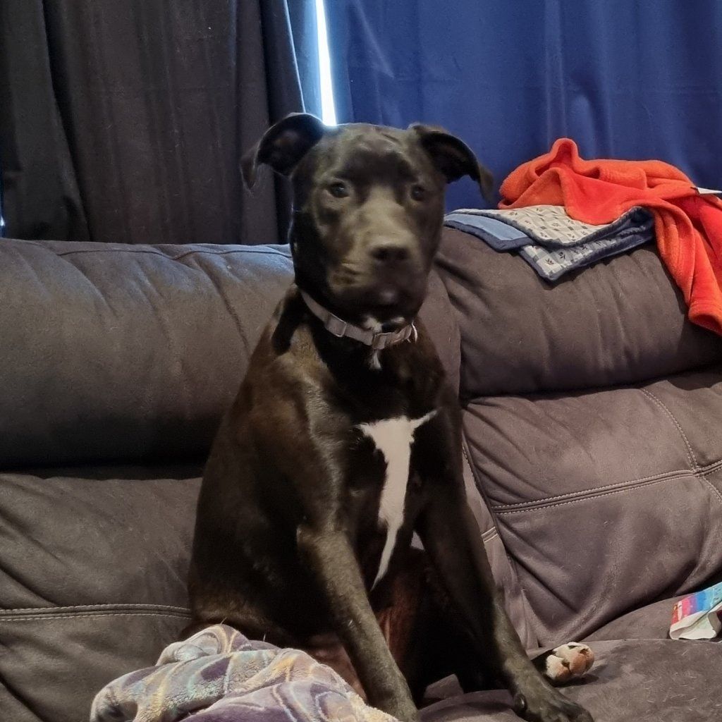 Roxy