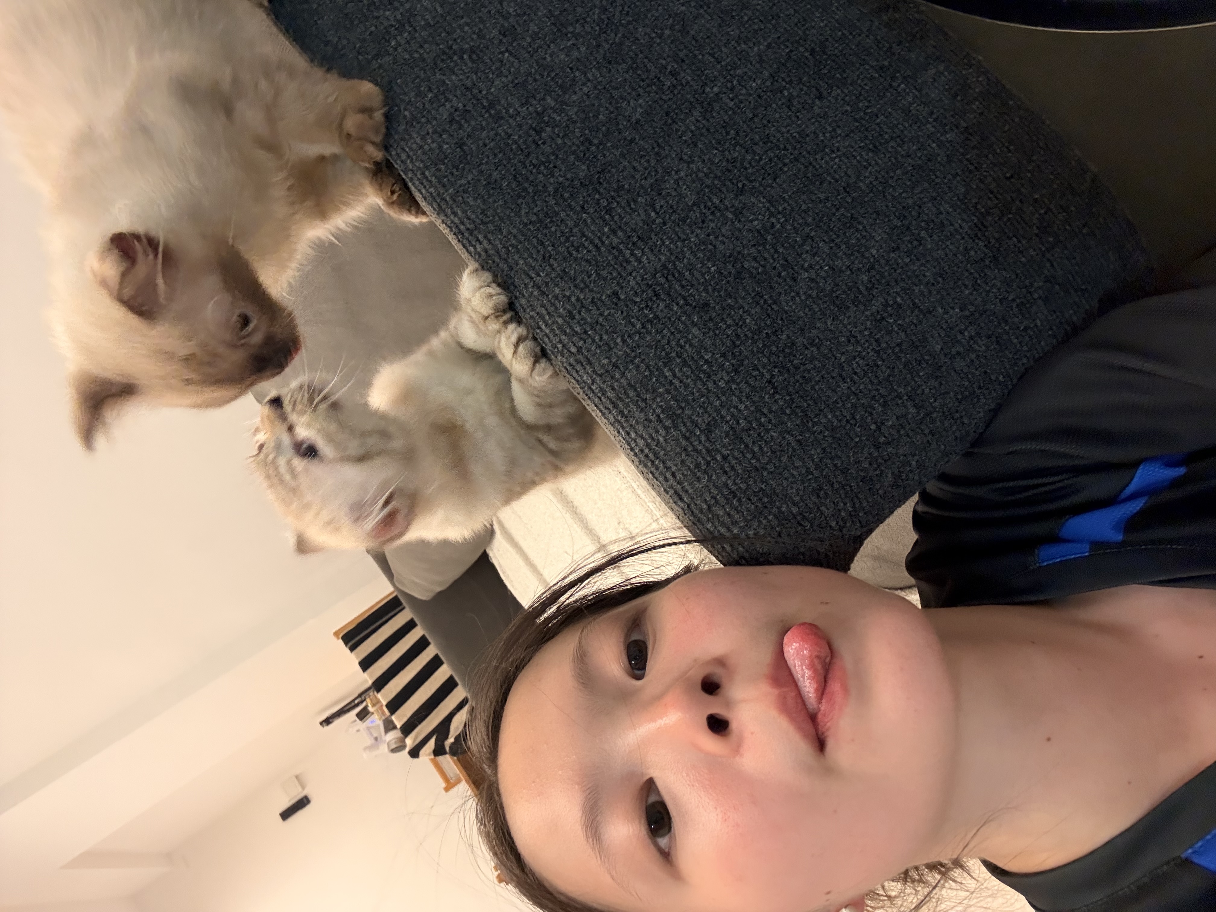 image-3