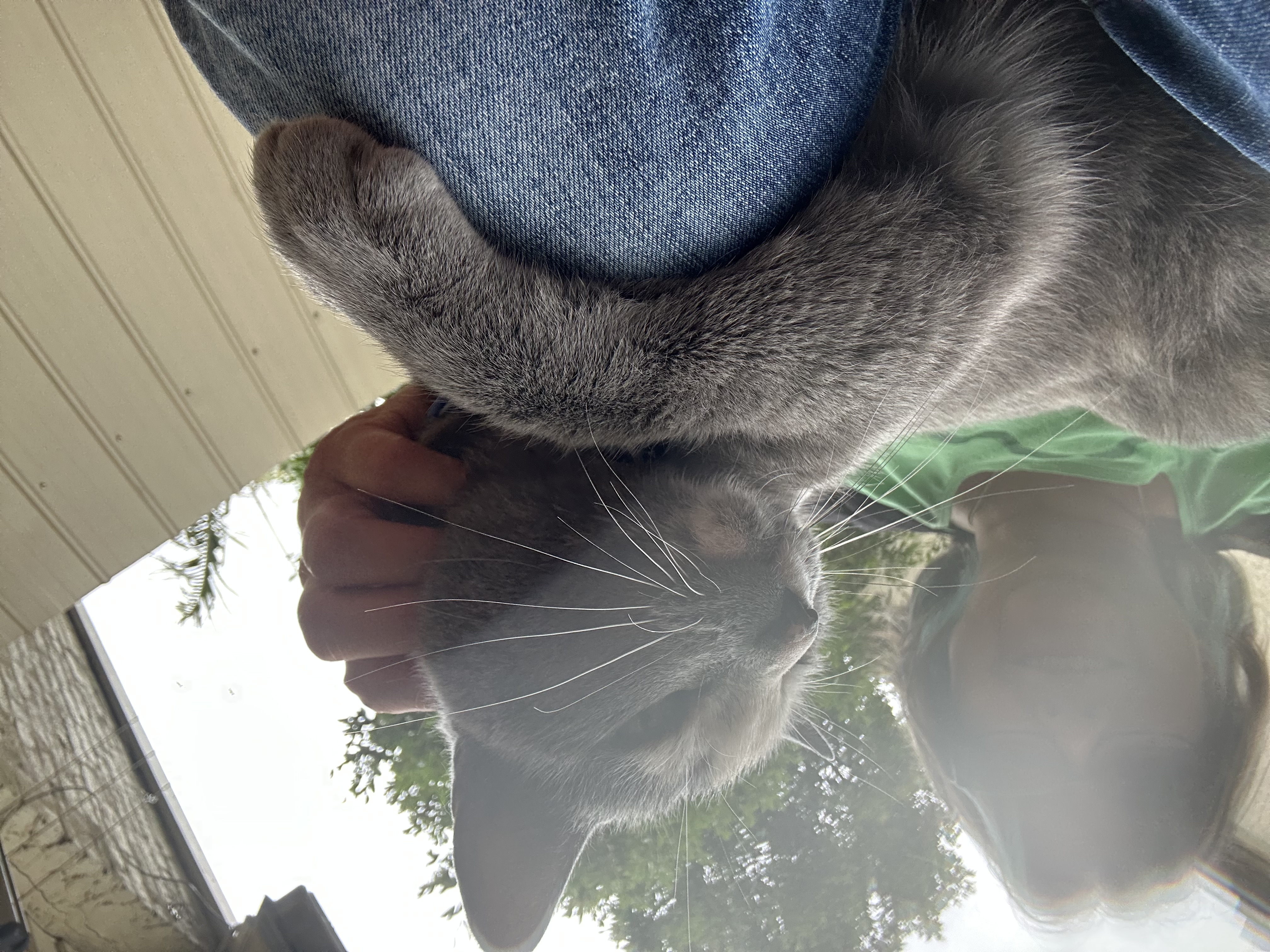 image-6