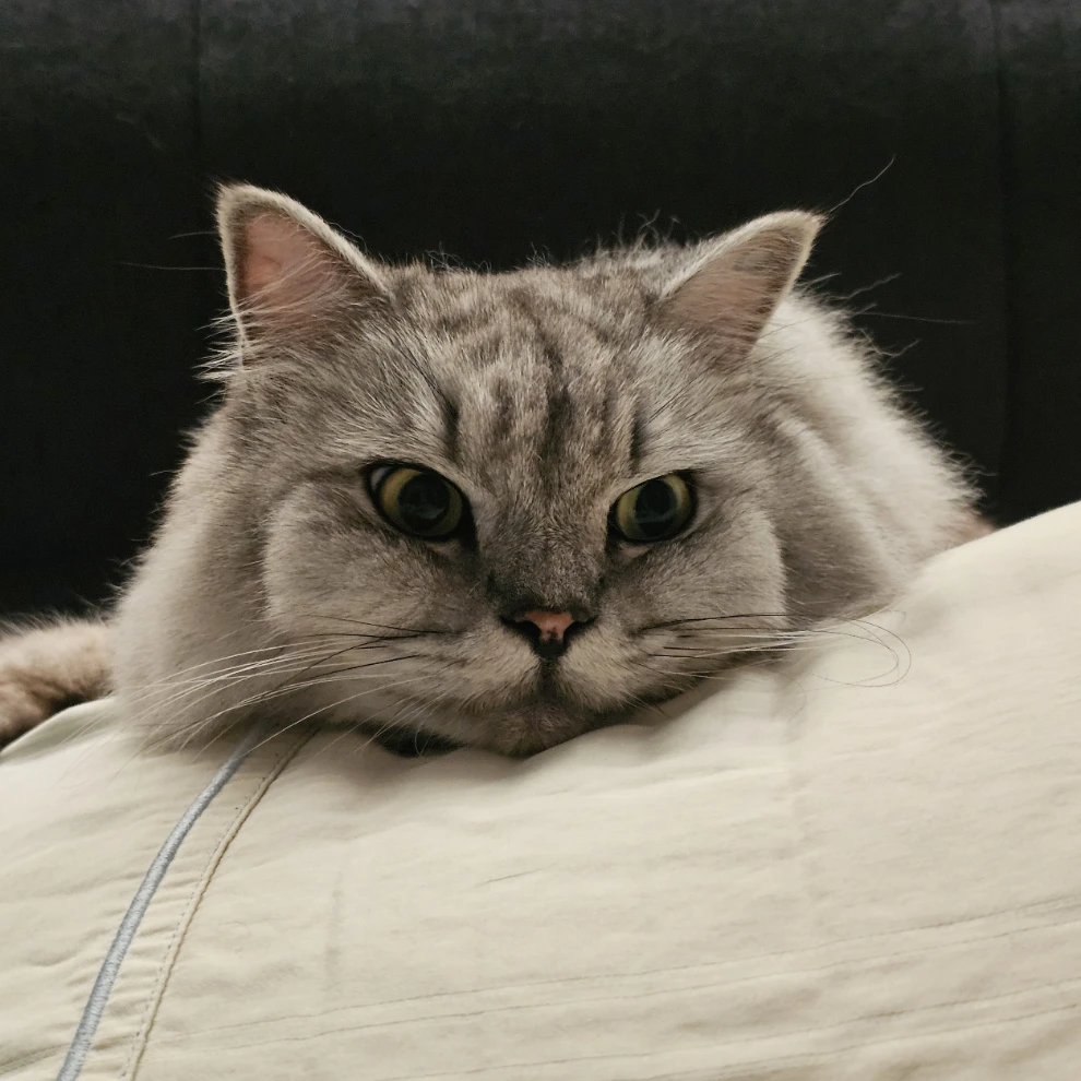 Smokey