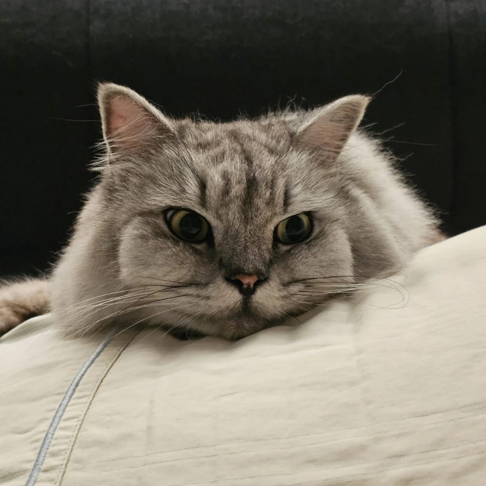 Smokey
