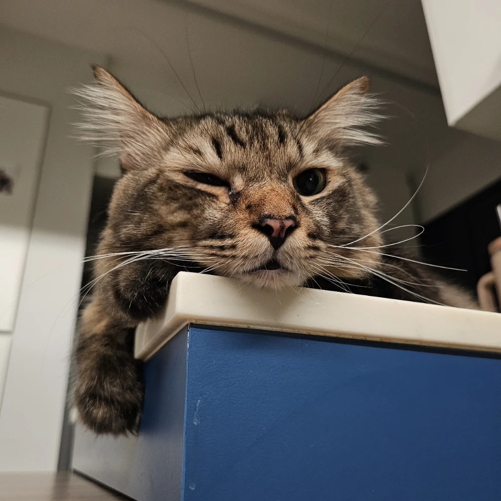 Tigger