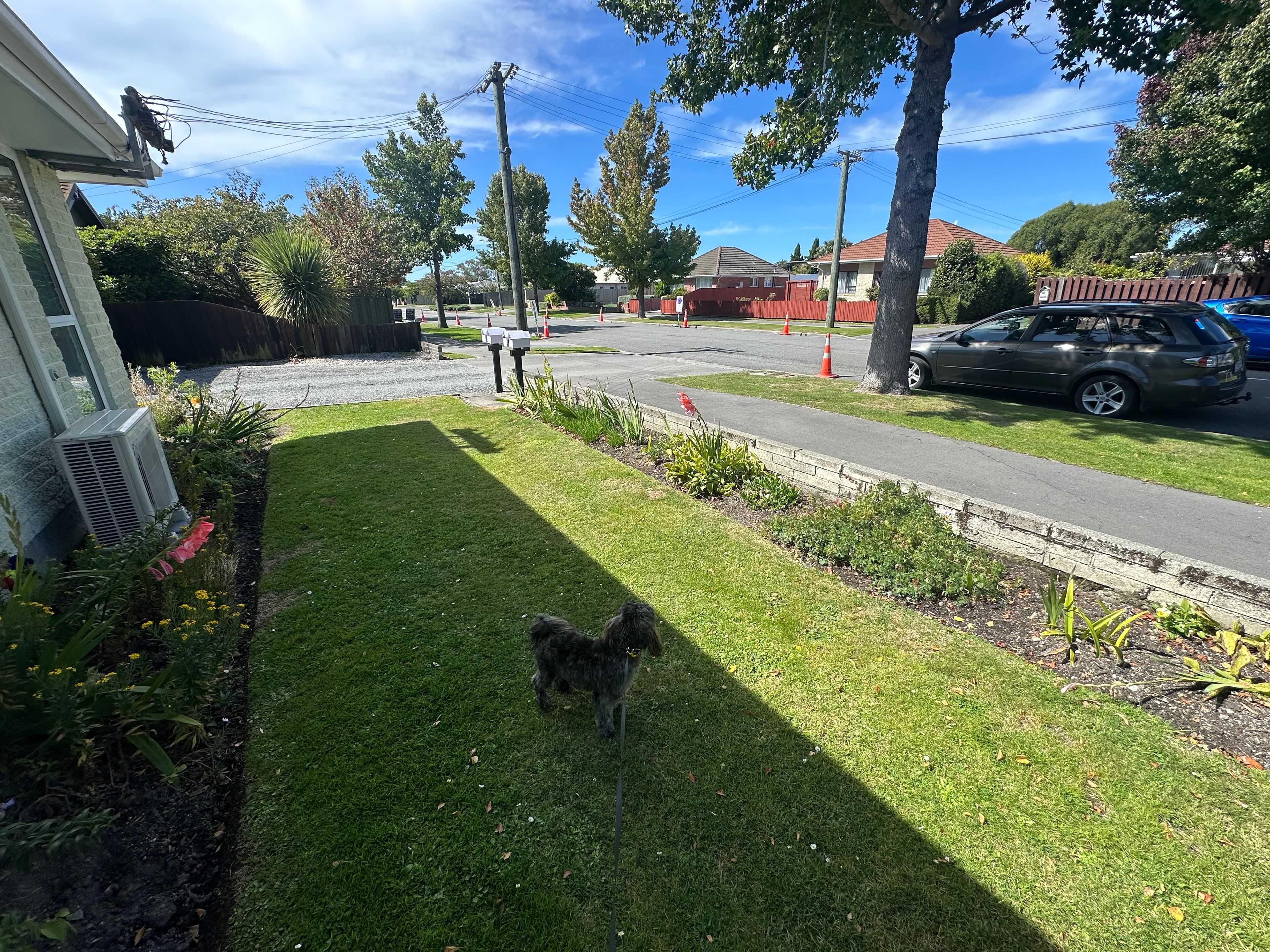 image-14