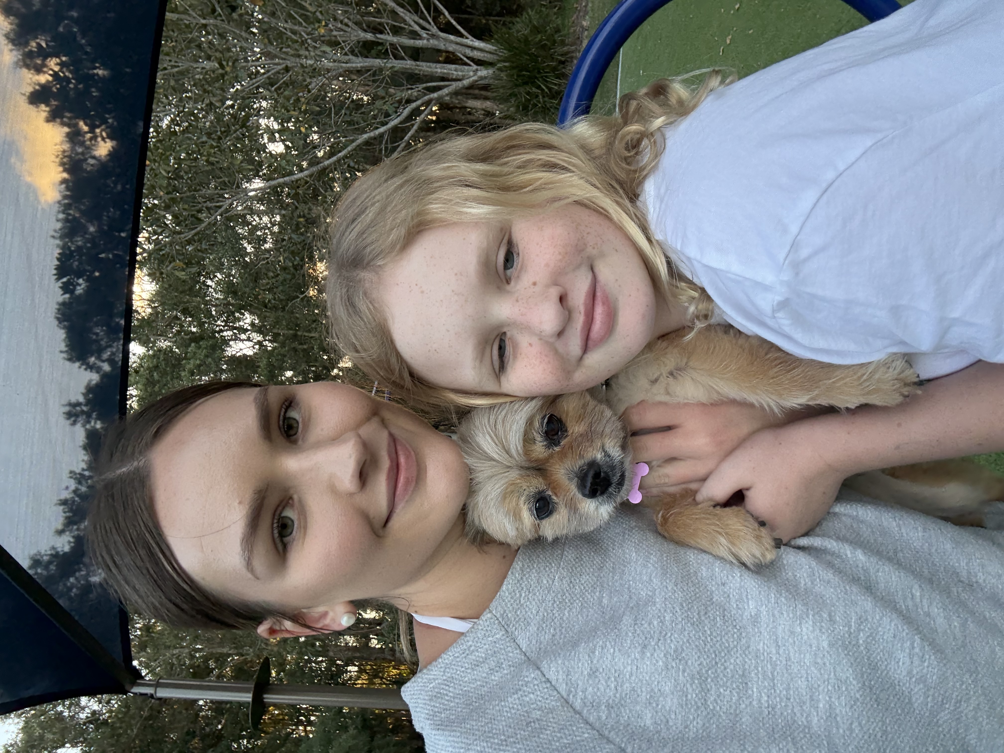 image-7