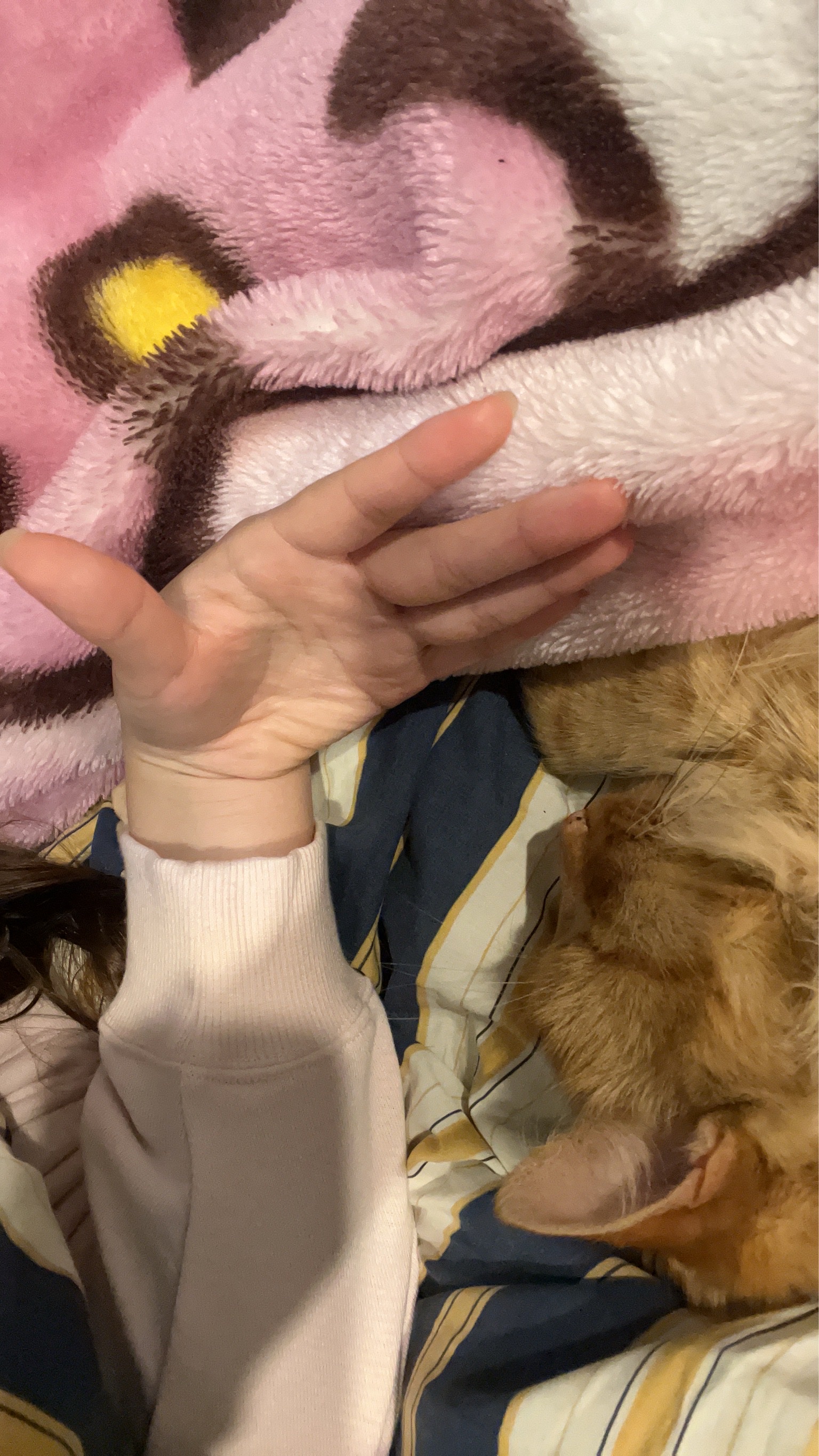 image-4