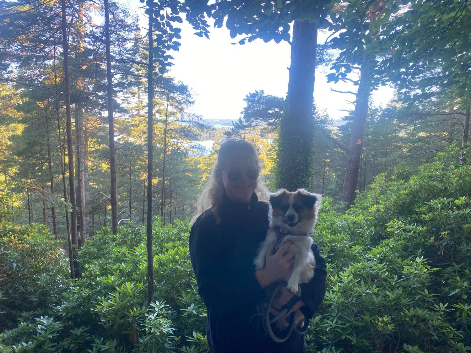 image-8