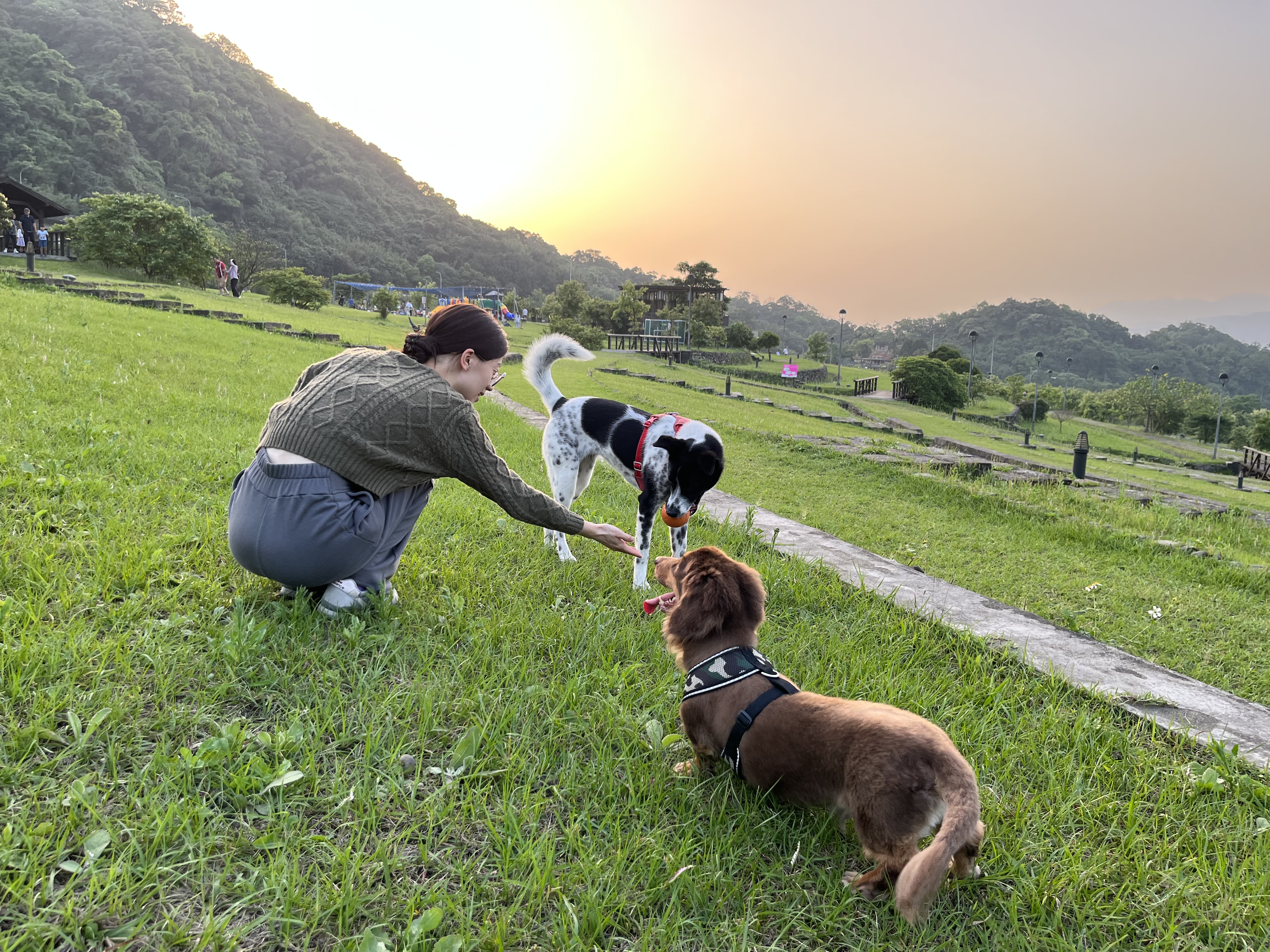 image-7