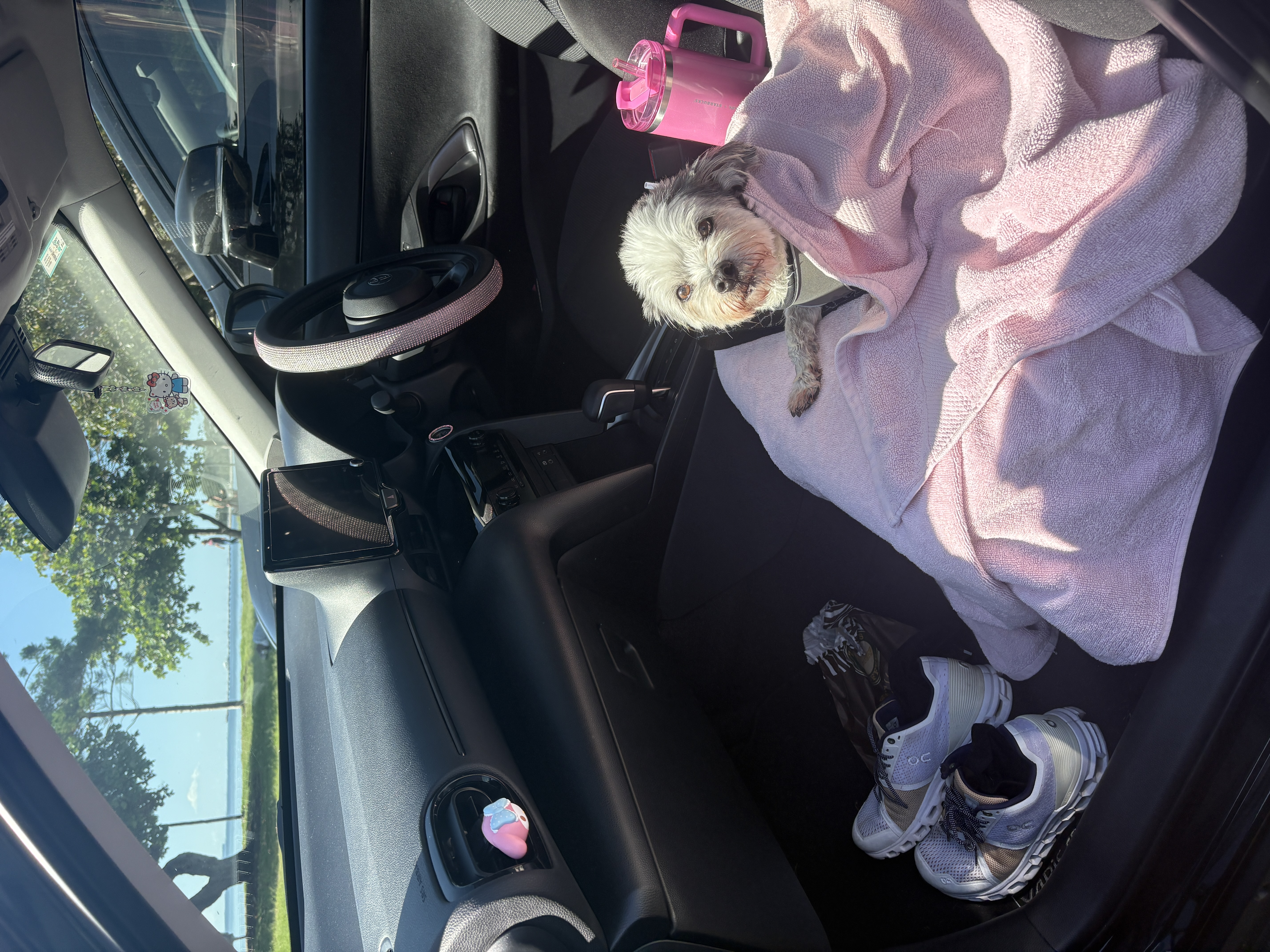 image-3